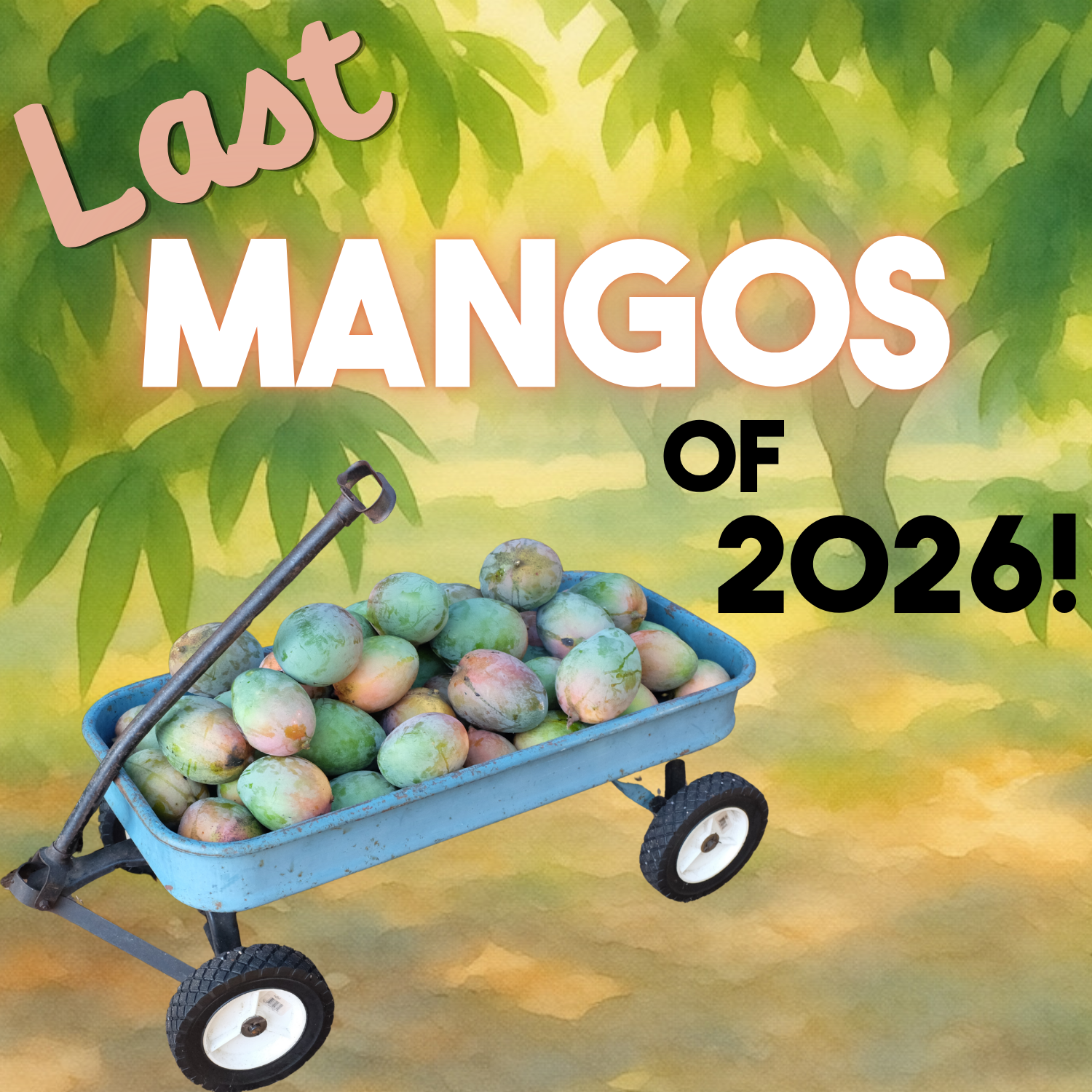 Fruit for Saturday, October 3, 2026