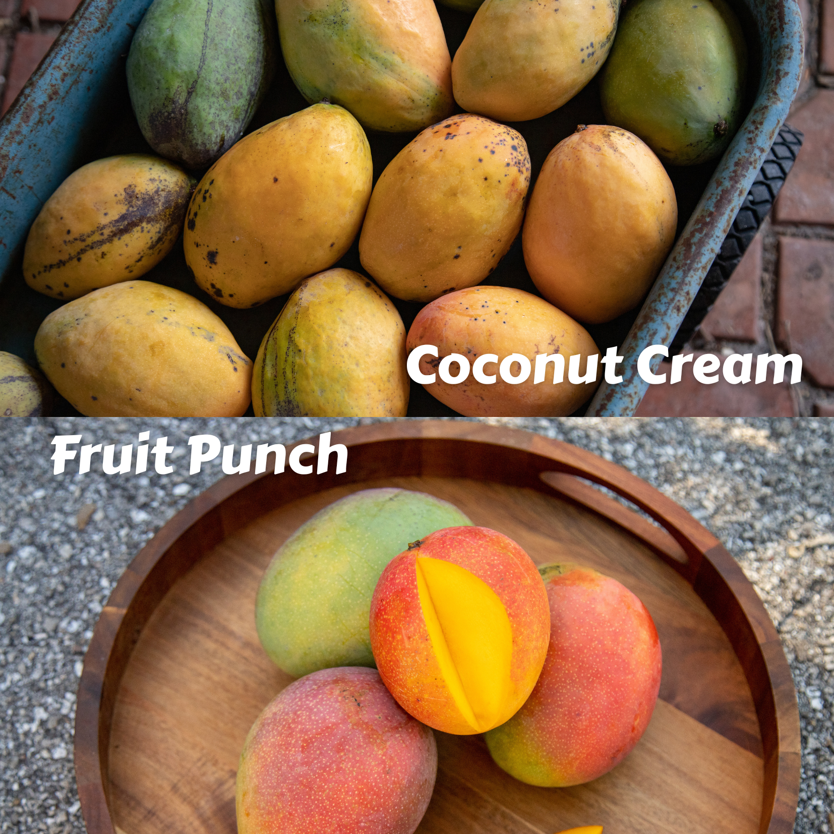Fruit Punch and Coconut Cream.png