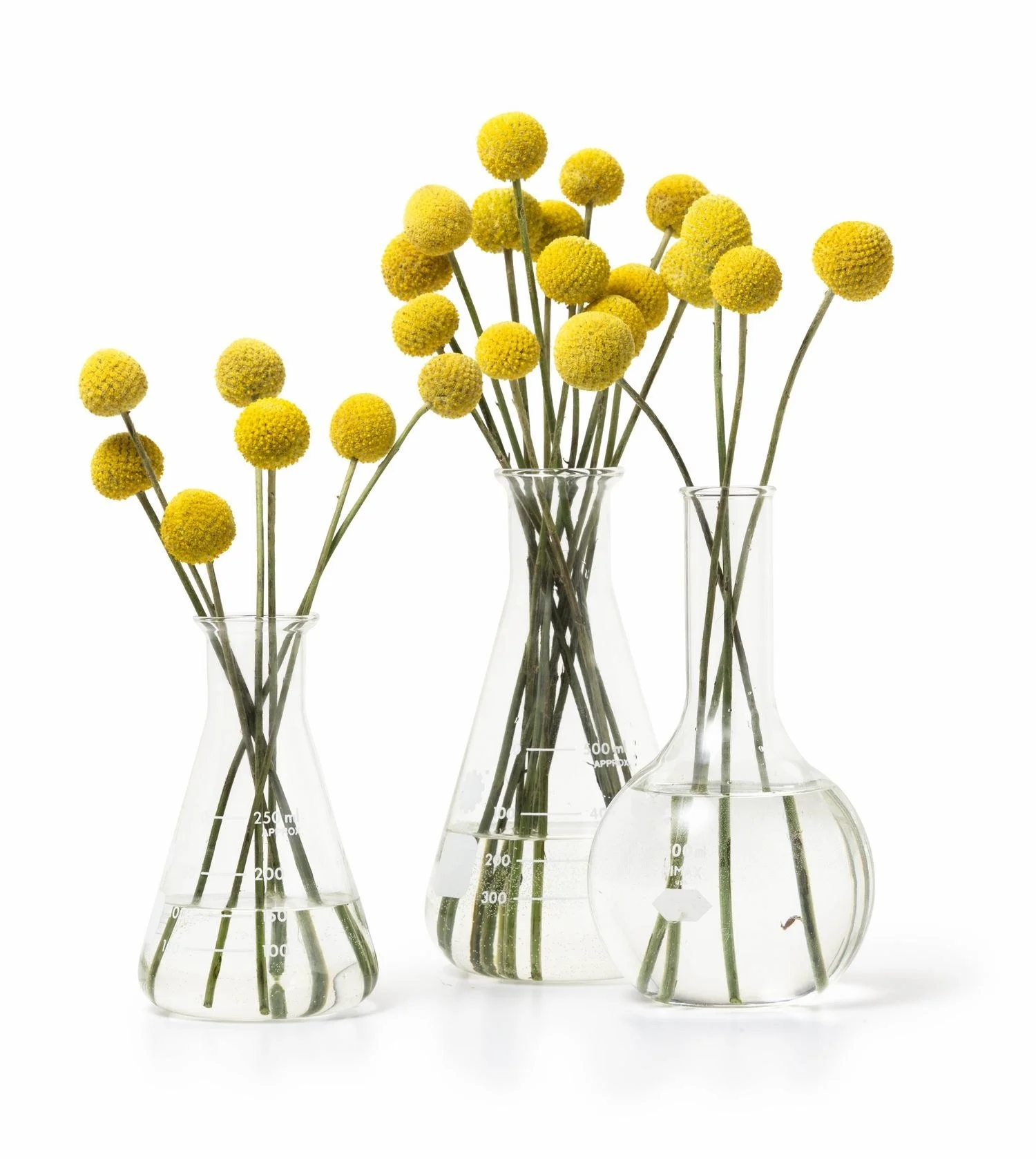 home-2014-12-1-easy-centerpieces-1217-main.jpg