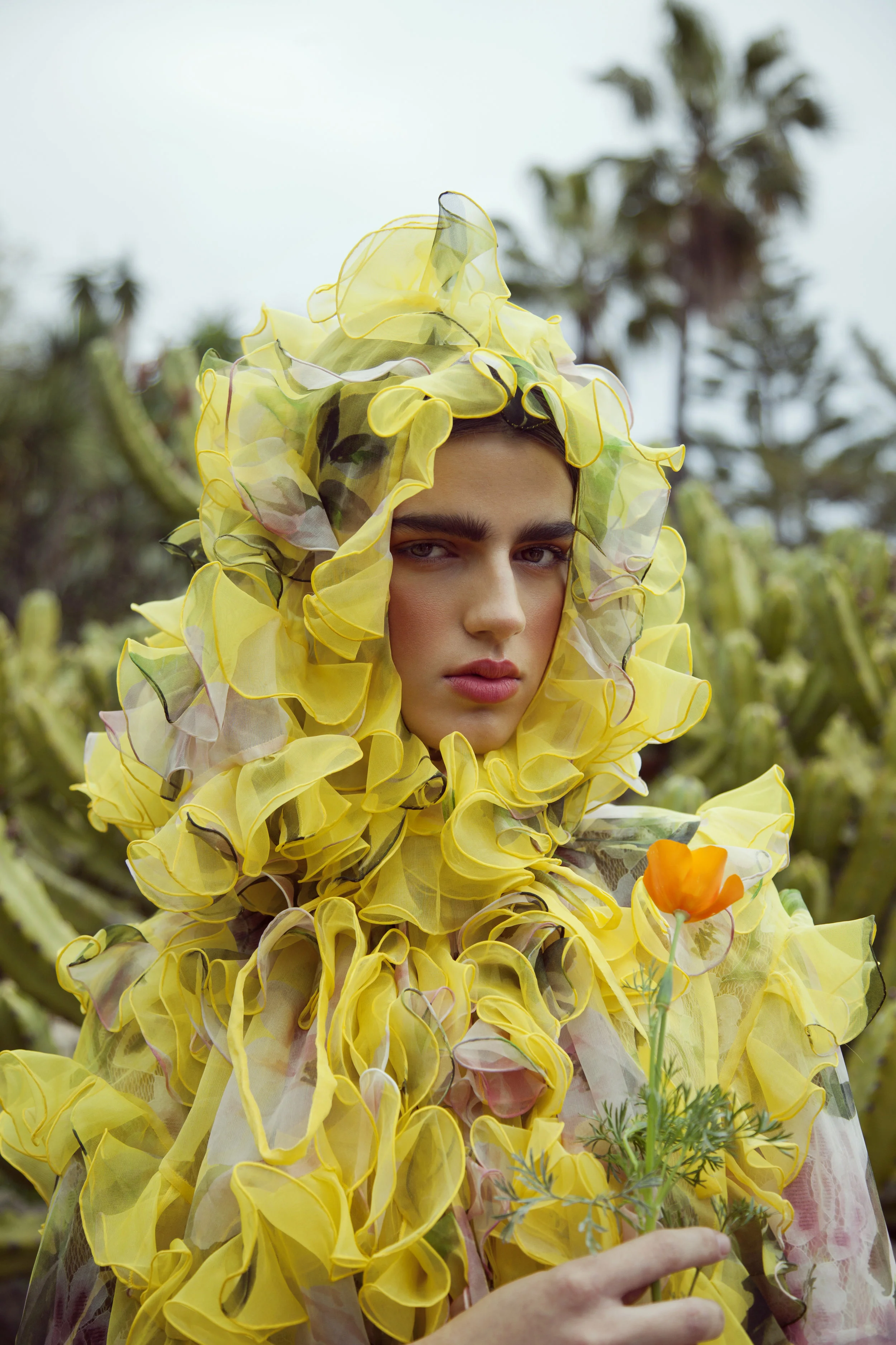 _MG_6431ok copia.jpg