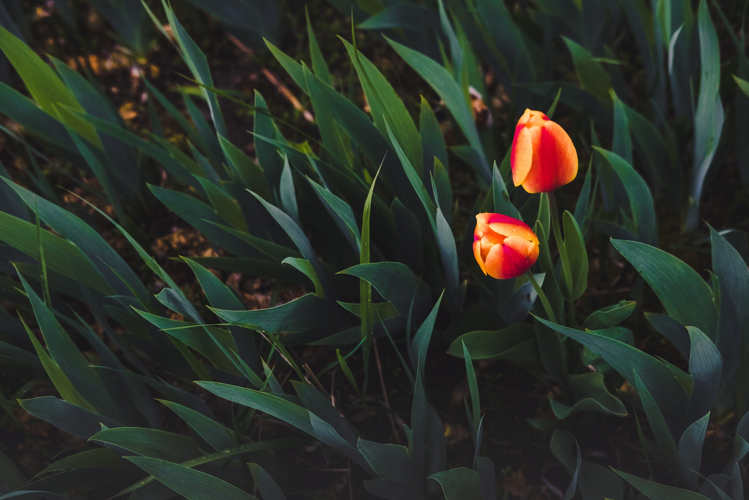 How to Know When It's Time to Look for a New Job:  4 Signs to Watch Out For