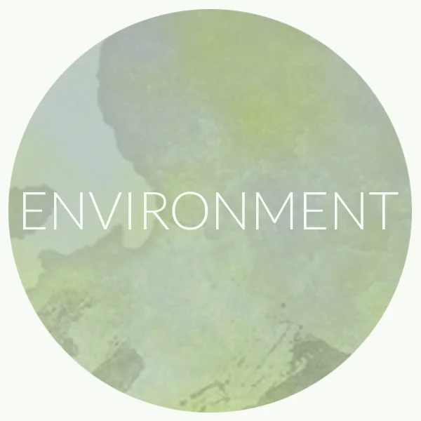 ENVIRONMENT CIRCLE.png