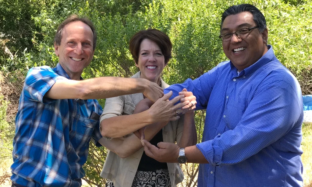 Thank you Patricia Shults