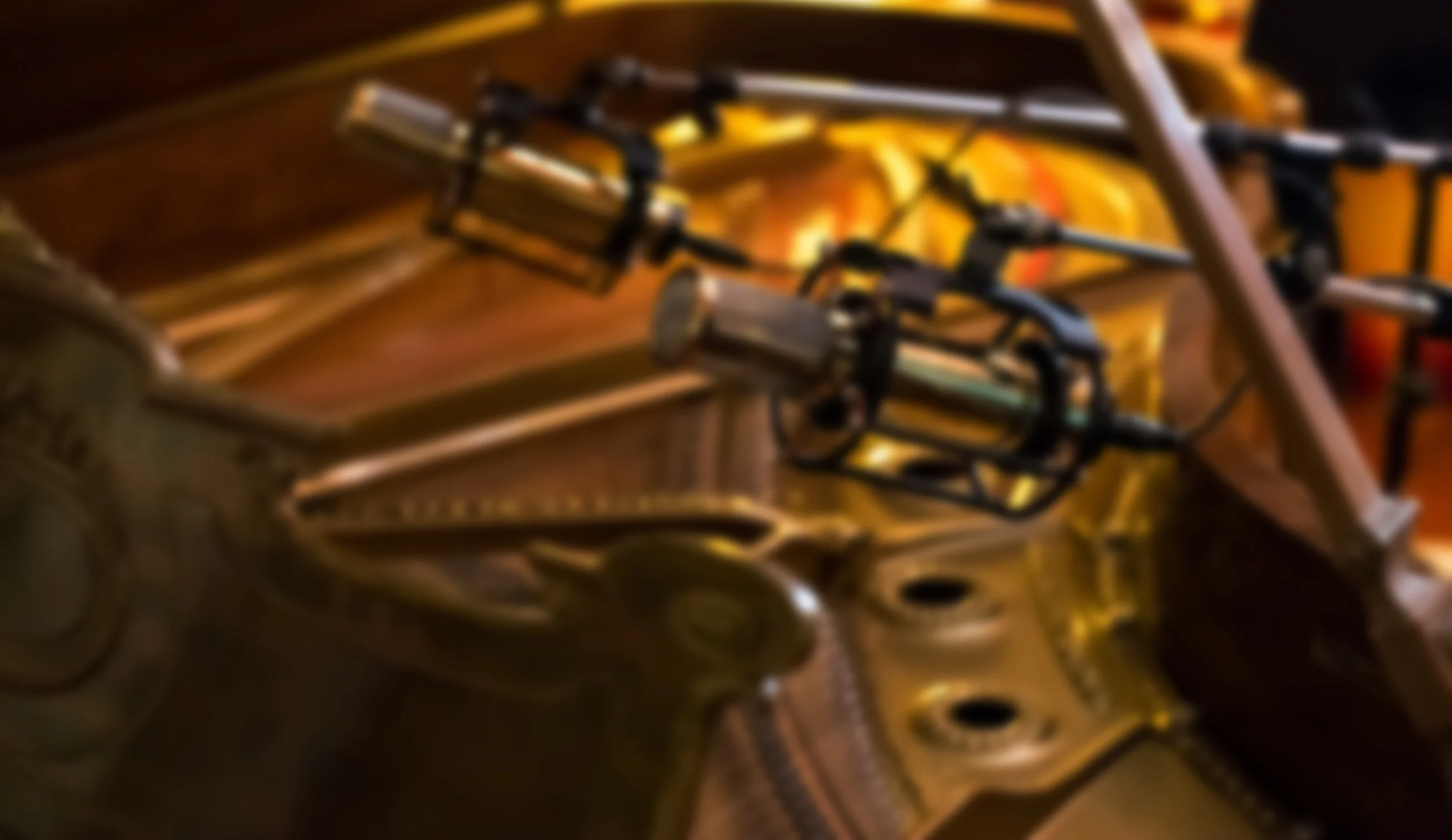 needham-gold-mics.jpg