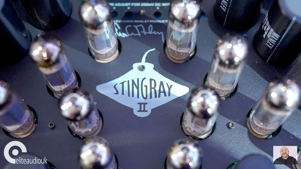 Video Review: The Stingray II