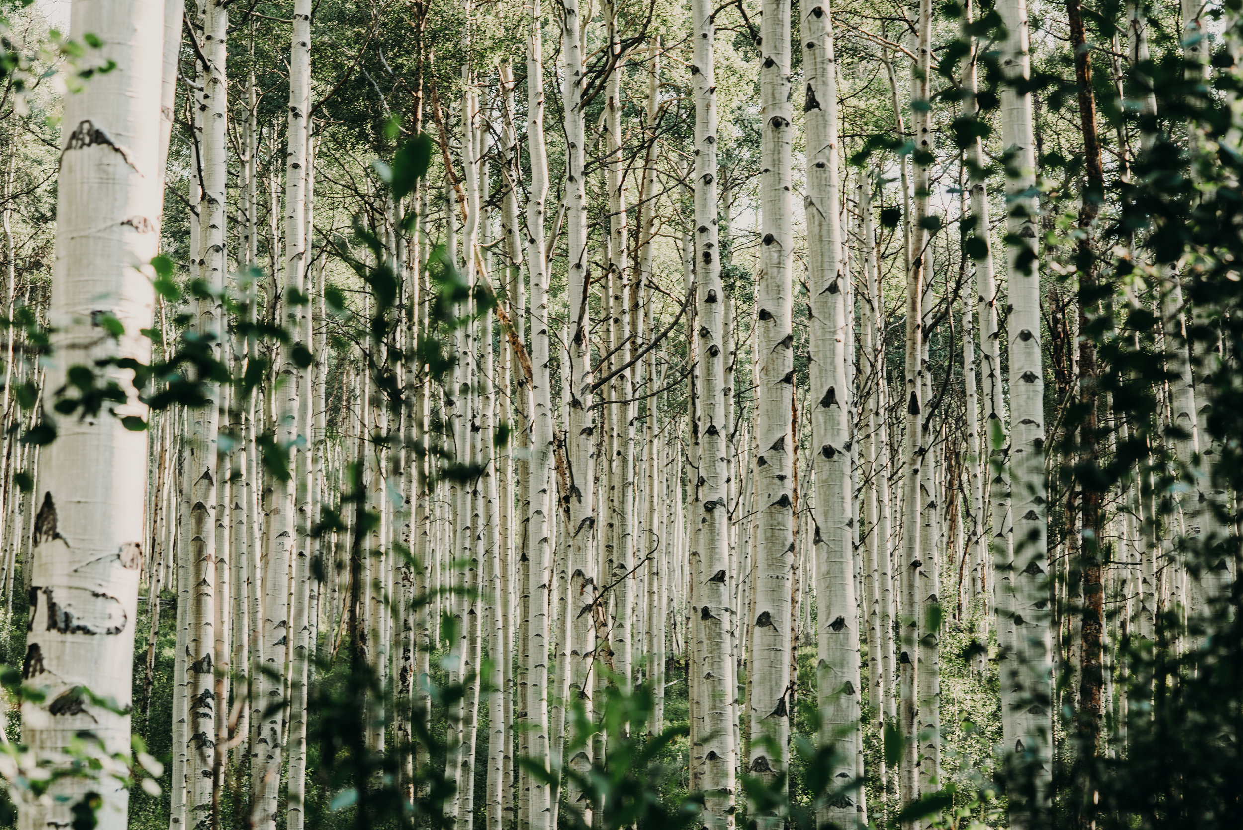 A75_3006.jpg