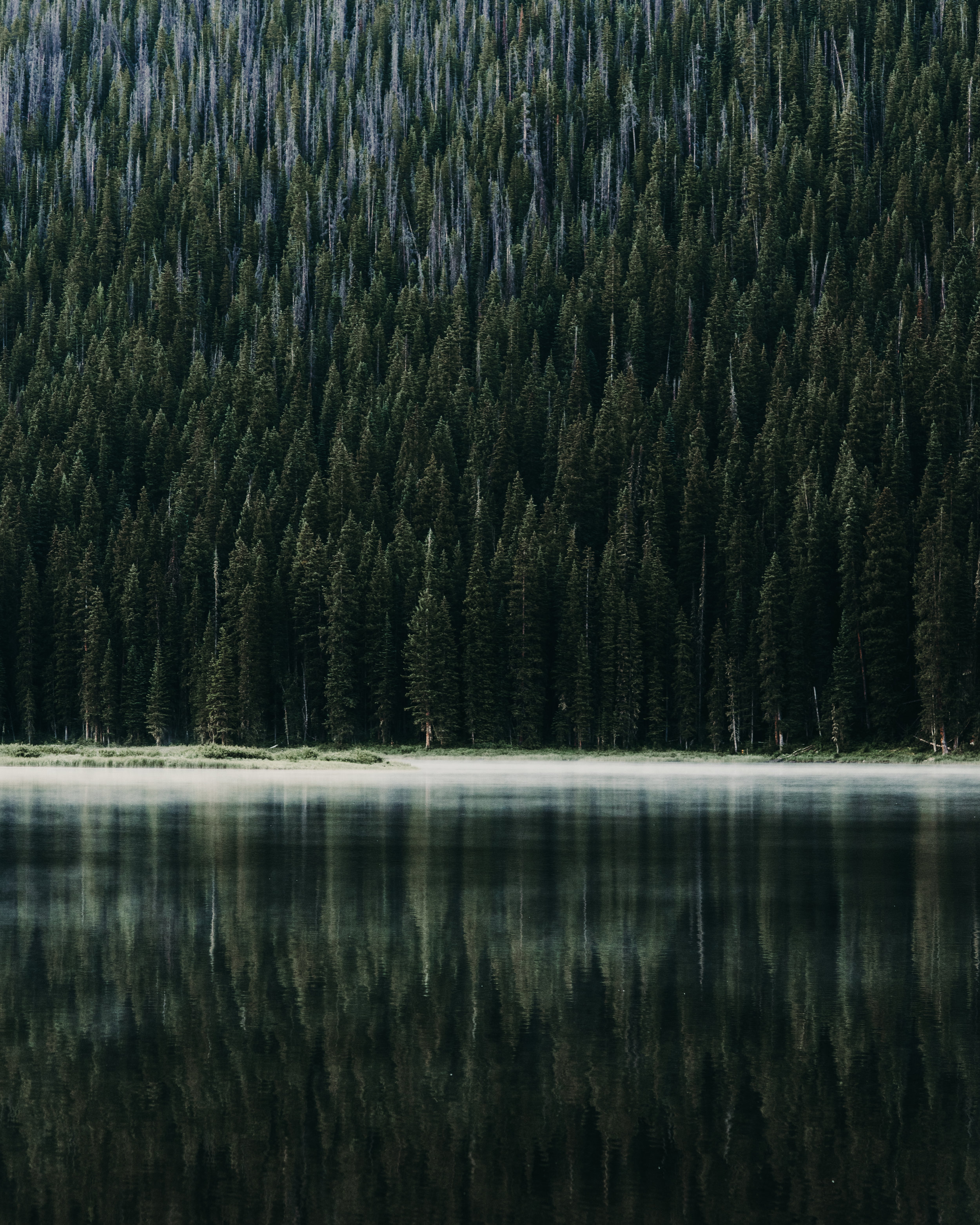 A75_3110.jpg