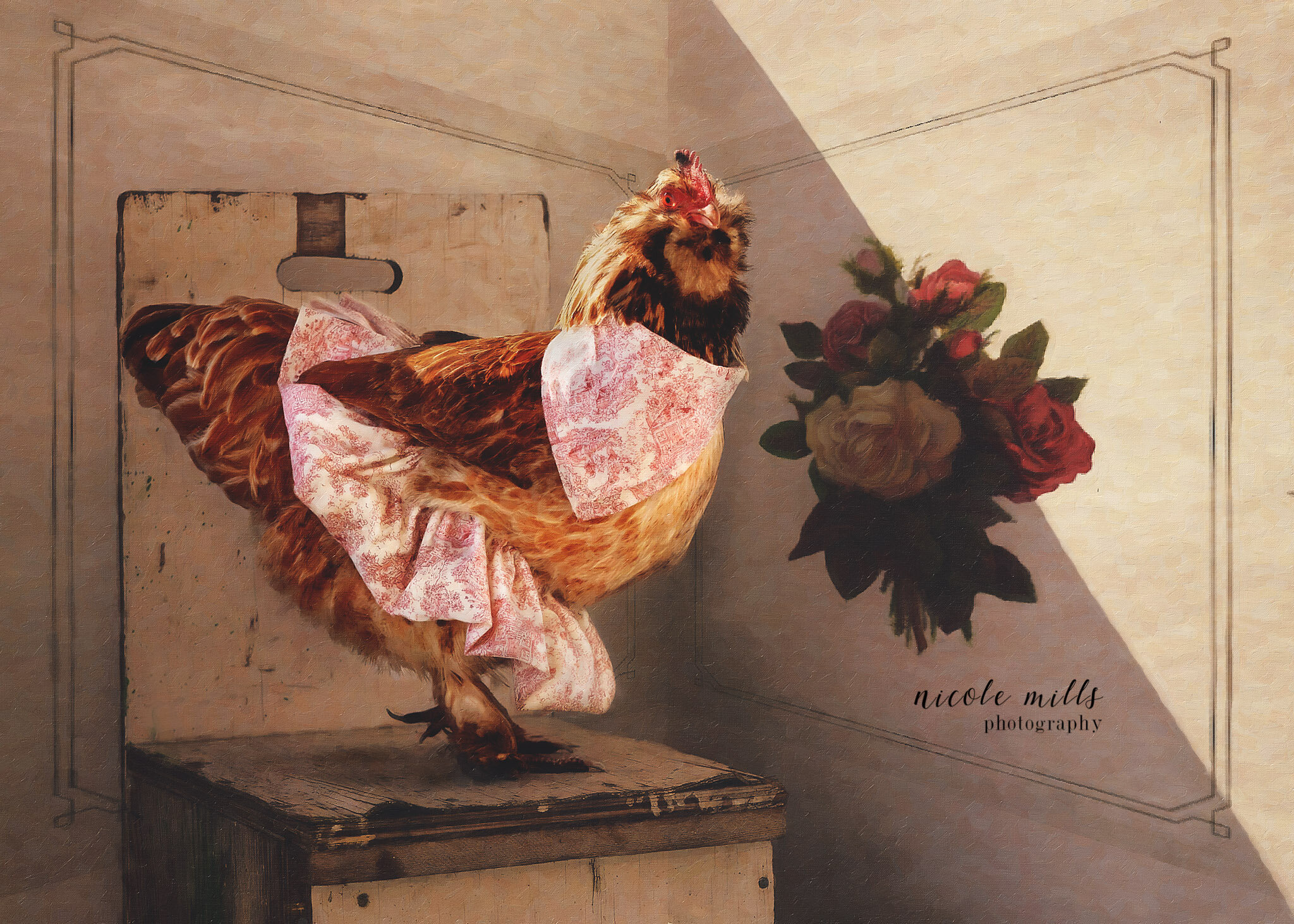 Nicole Mills Photography | Chicken