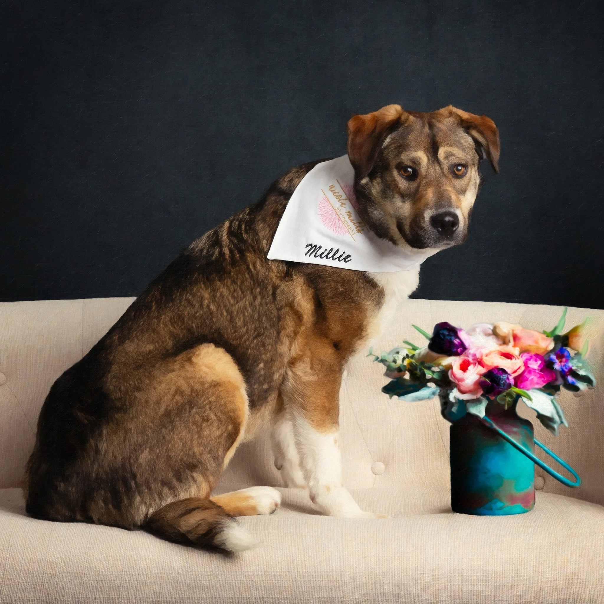 millie.jpg