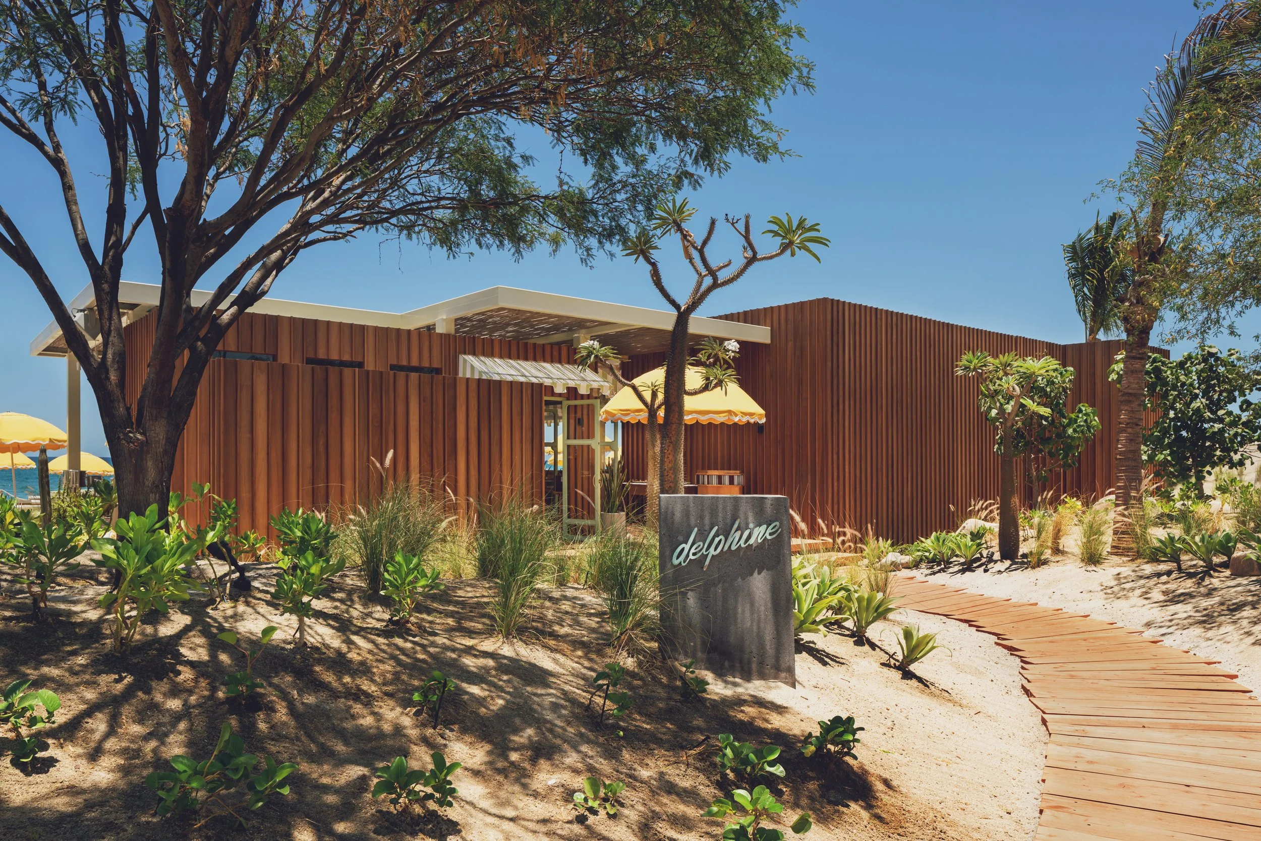 CP - Delphine0001 - WR.jpg