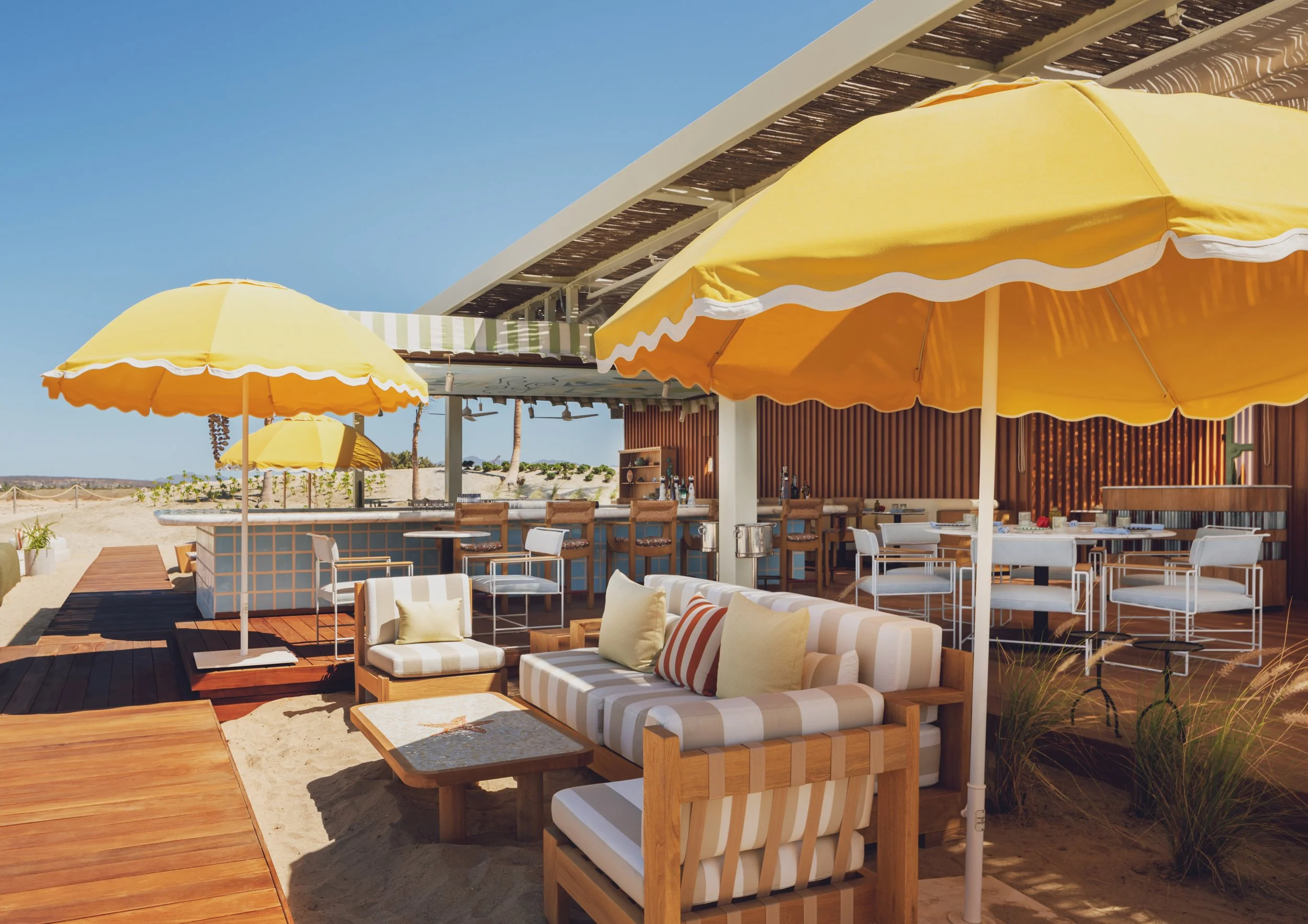 CP - Delphine0214 - WR.jpg