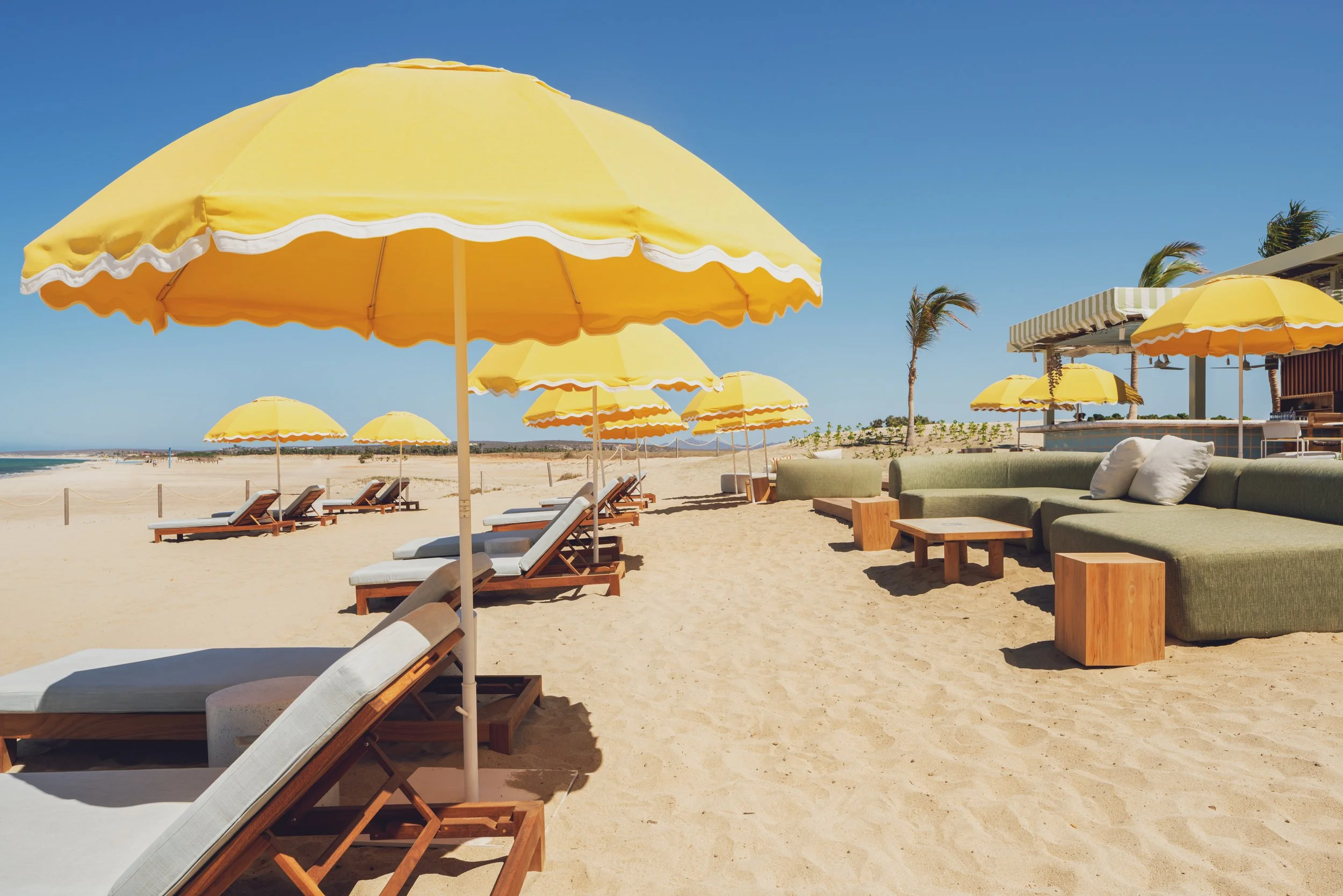 CP - Delphine0202 - WR.jpg