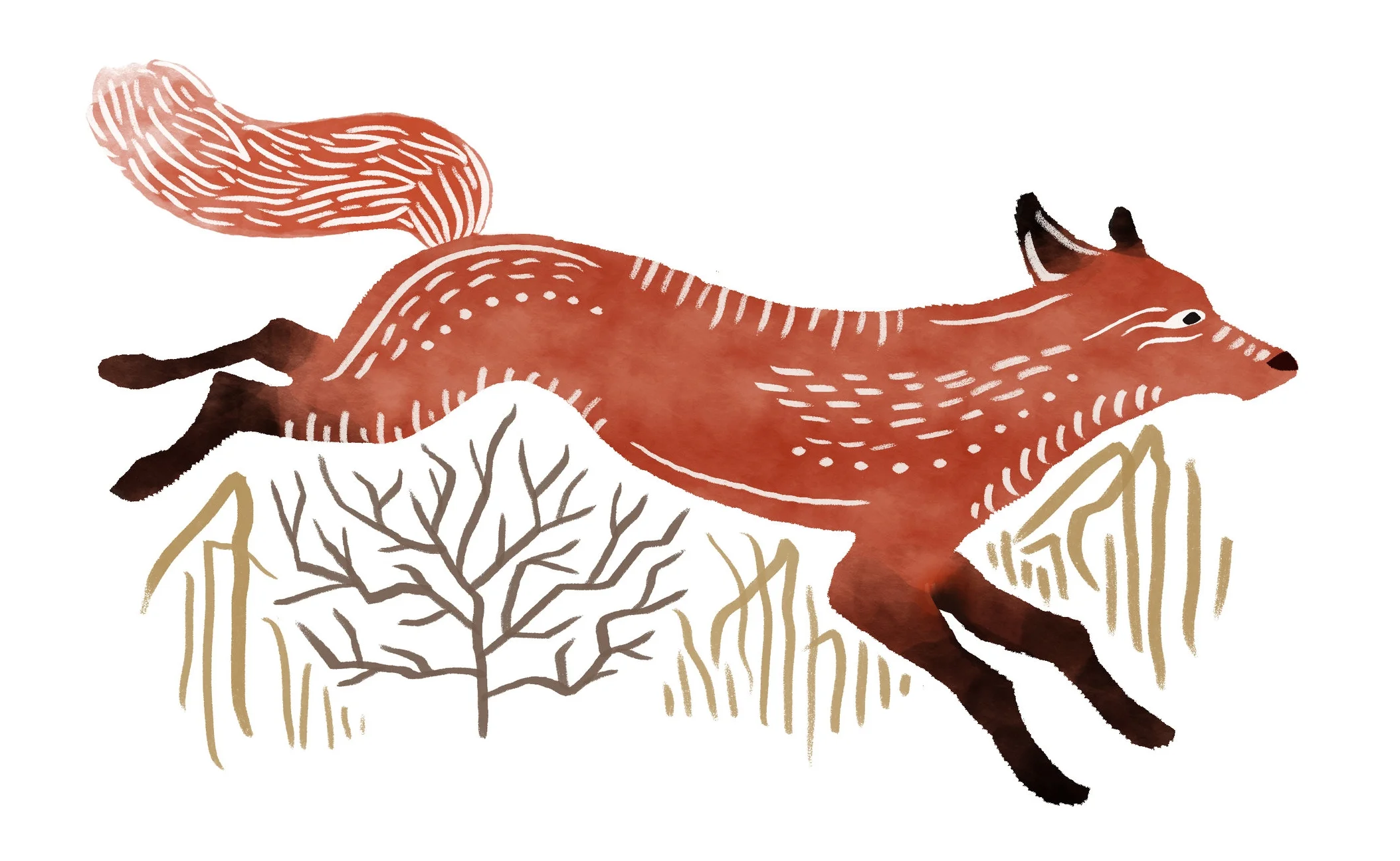 FOX-Revised_2.jpg