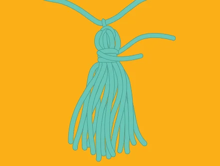 VECTOR ILLUSTRATION CLOSE UP