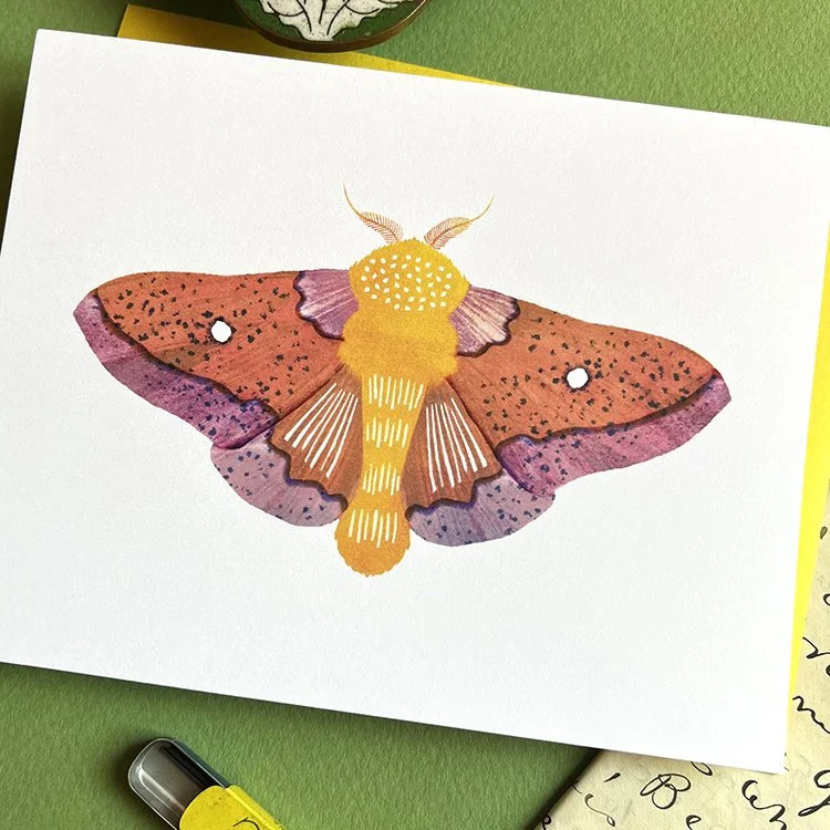 SpinyOakwormMoth_BeautyShot_1.jpg