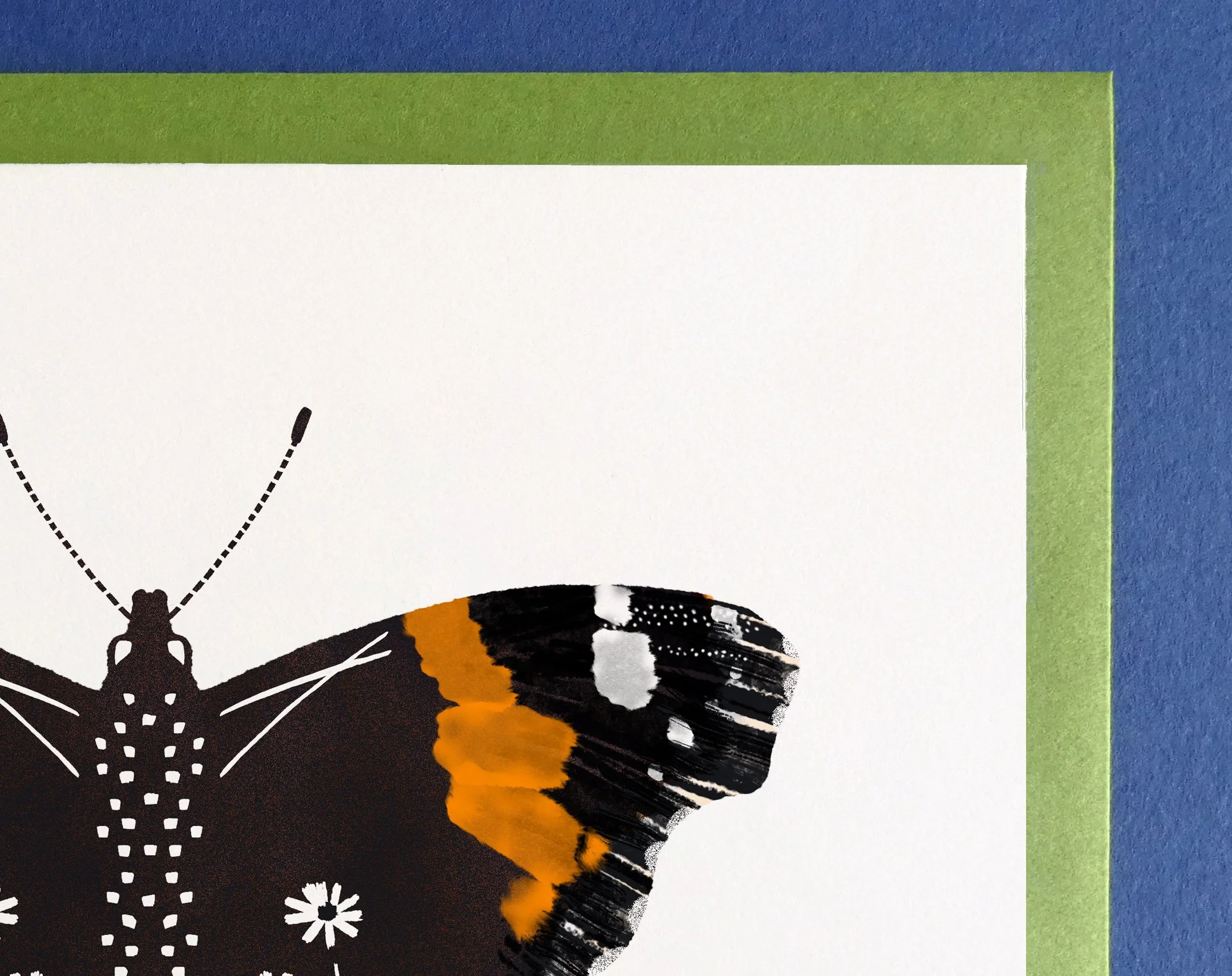 RedAdmiralButterfly_ShopCard2_Jnye_WEB.jpg