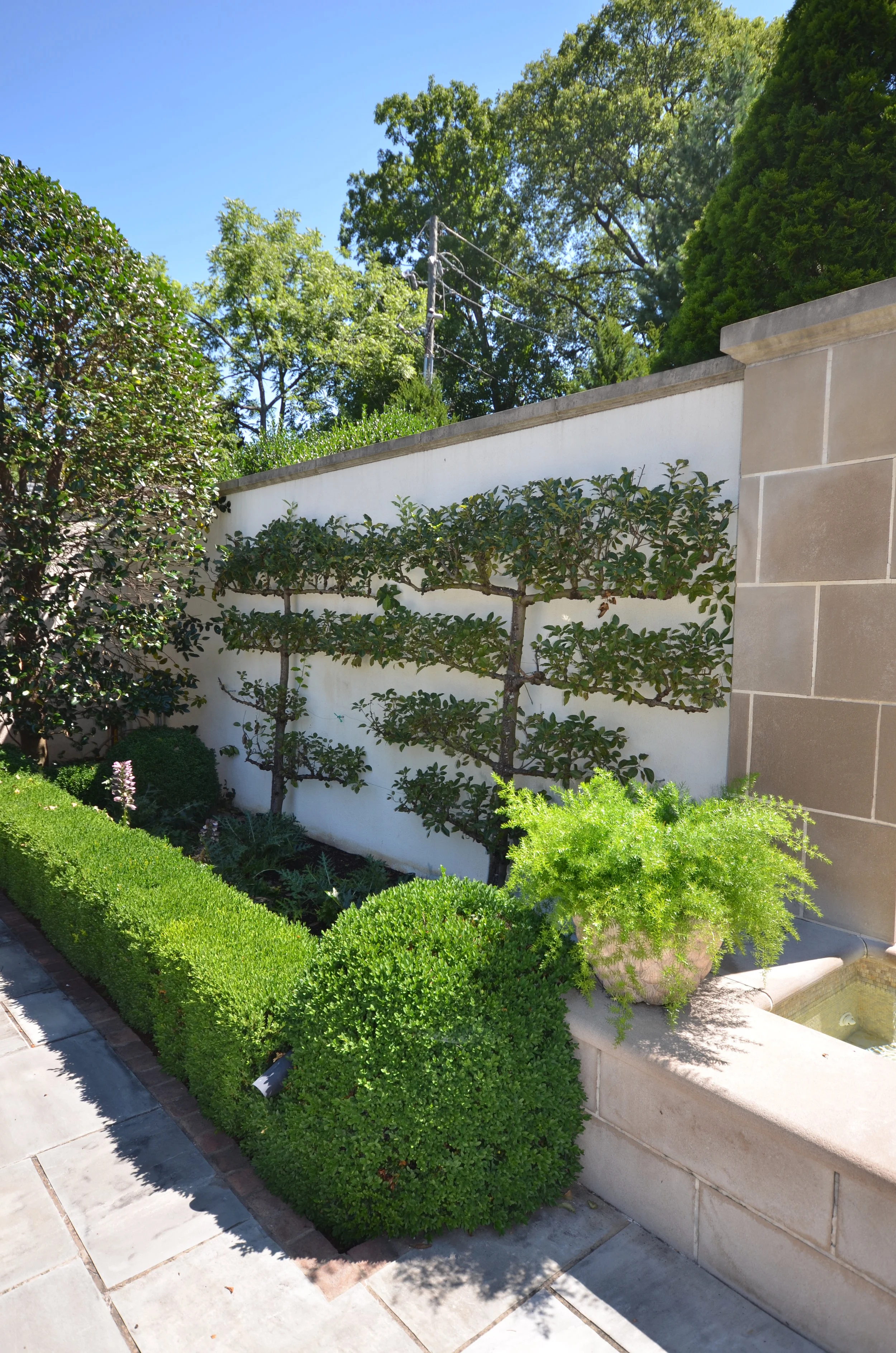NEW PICS 2 214.JPG