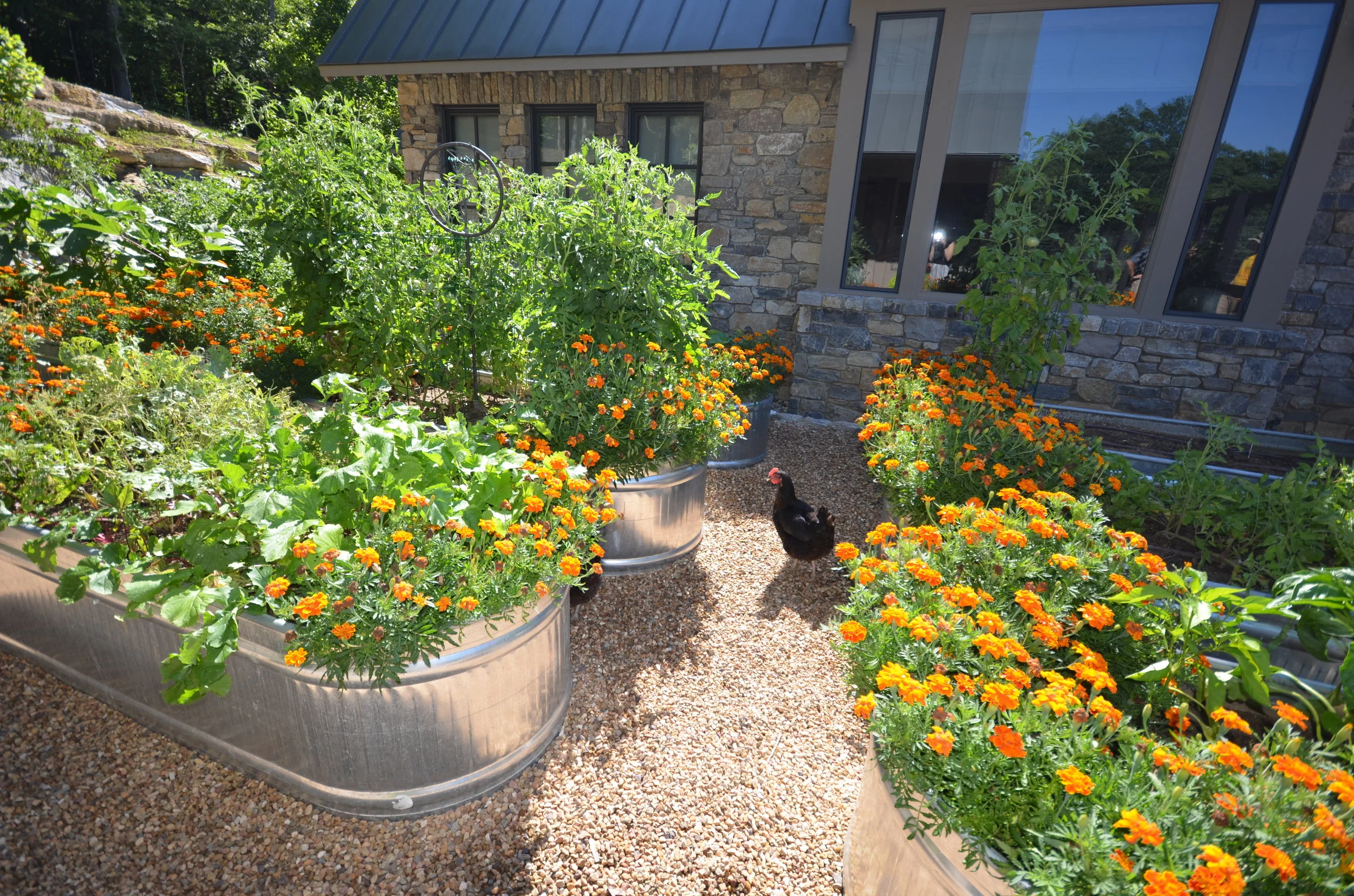 NEW WEBSITE PHOTOS!! 035.JPG