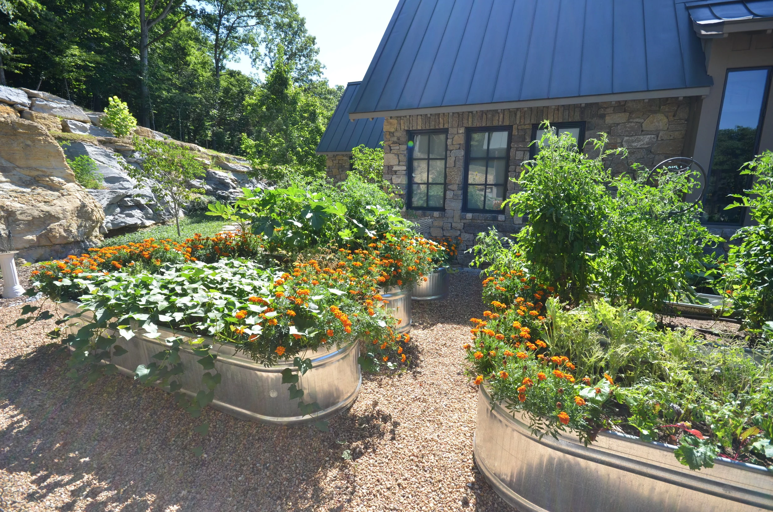 NEW WEBSITE PHOTOS!! 038.JPG