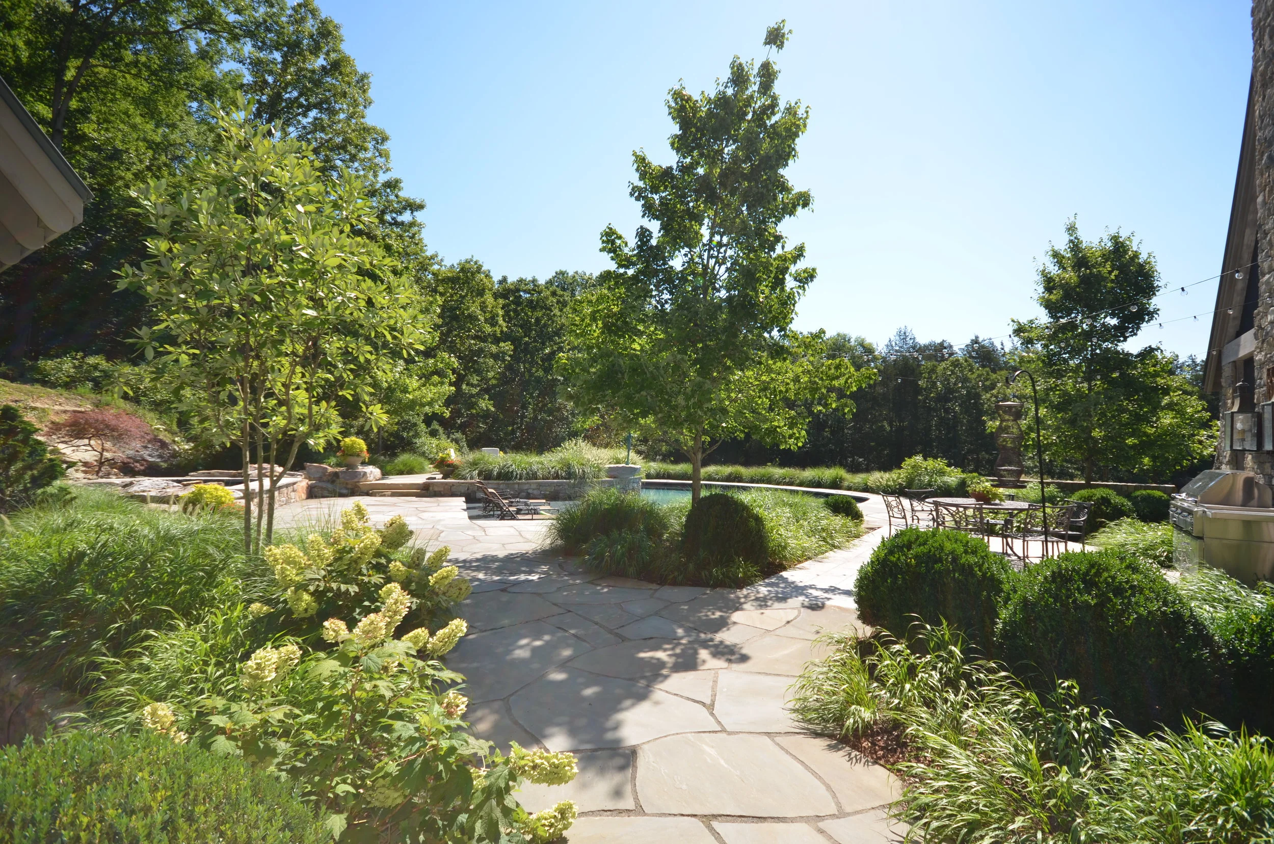 NEW WEBSITE PHOTOS!! 050.JPG