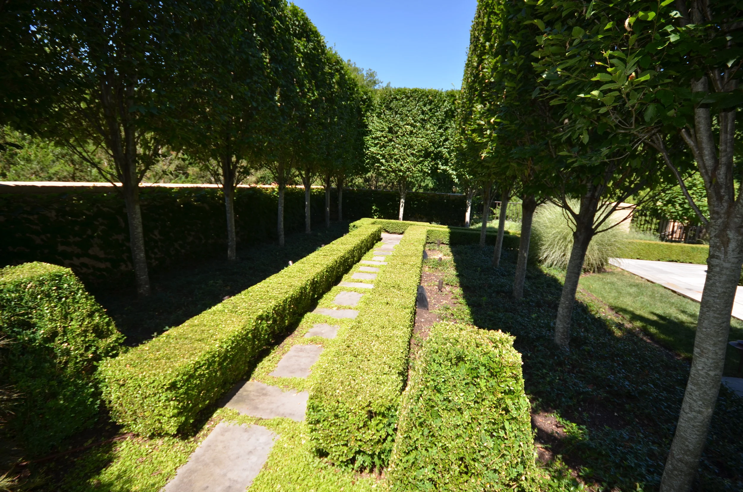 NEW WEBSITE PHOTOS!! 082.JPG