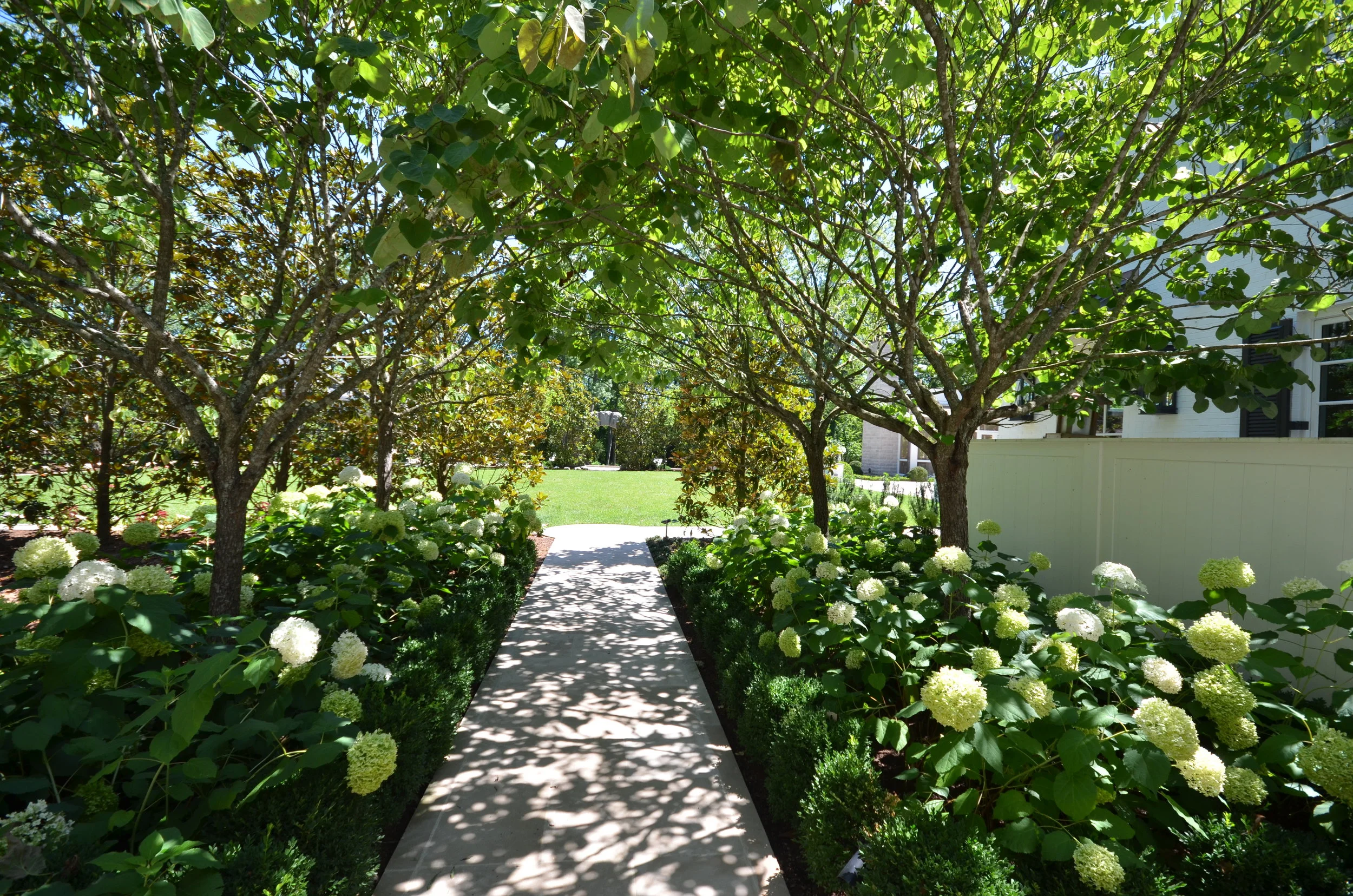 NEW WEBSITE PHOTOS!! 131.JPG