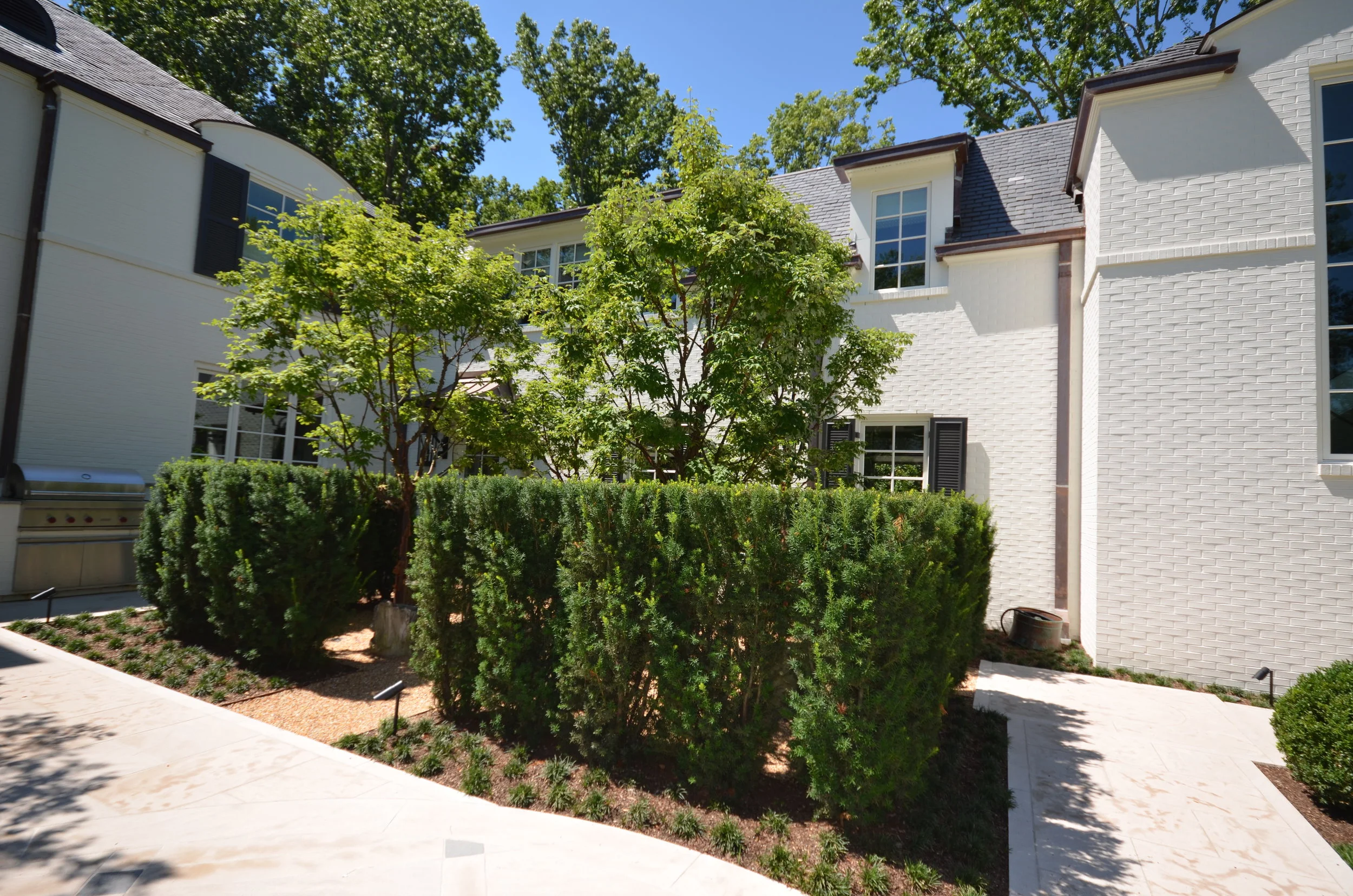 NEW WEBSITE PHOTOS!! 143.JPG