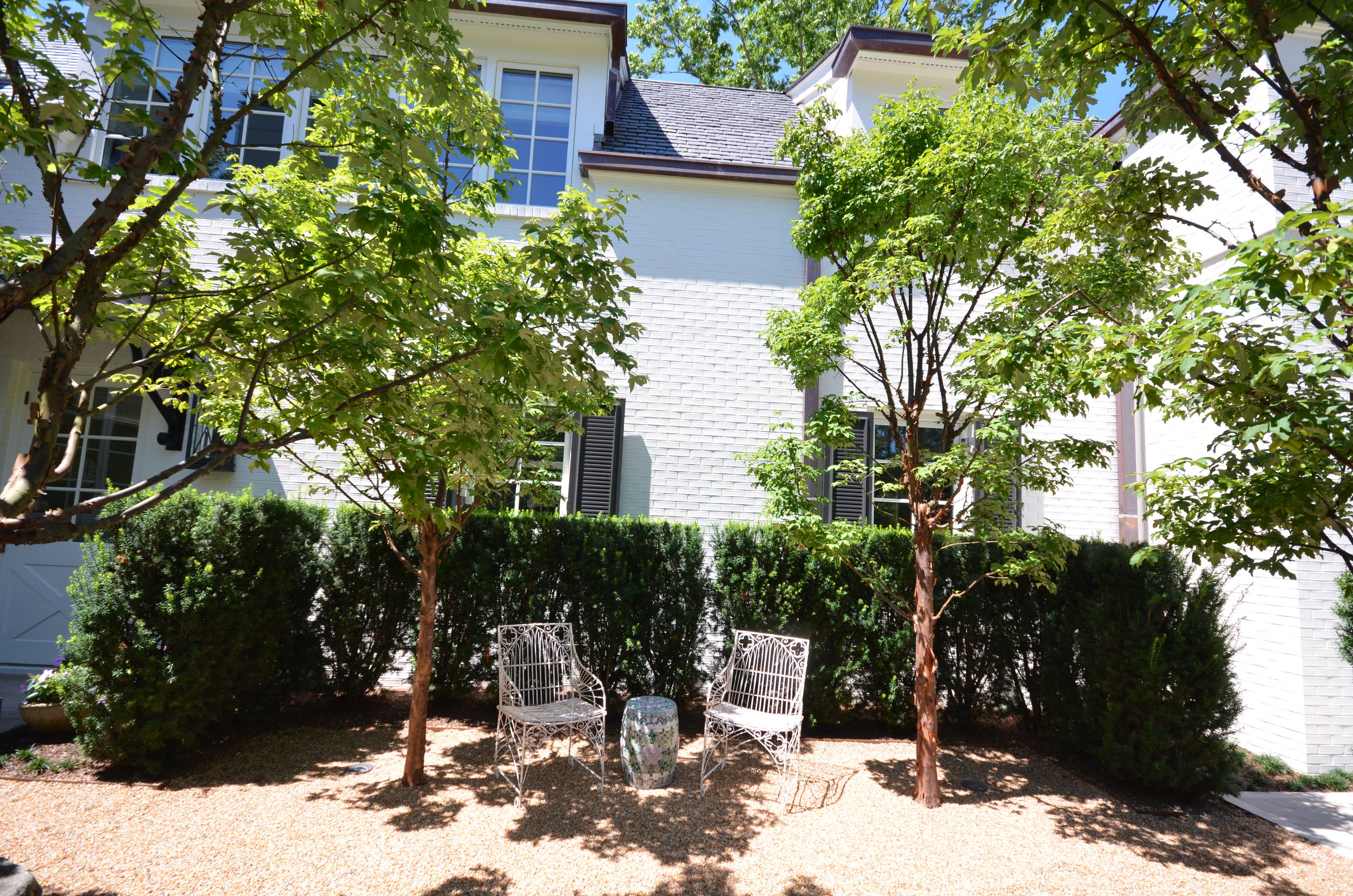 NEW WEBSITE PHOTOS!! 146.JPG