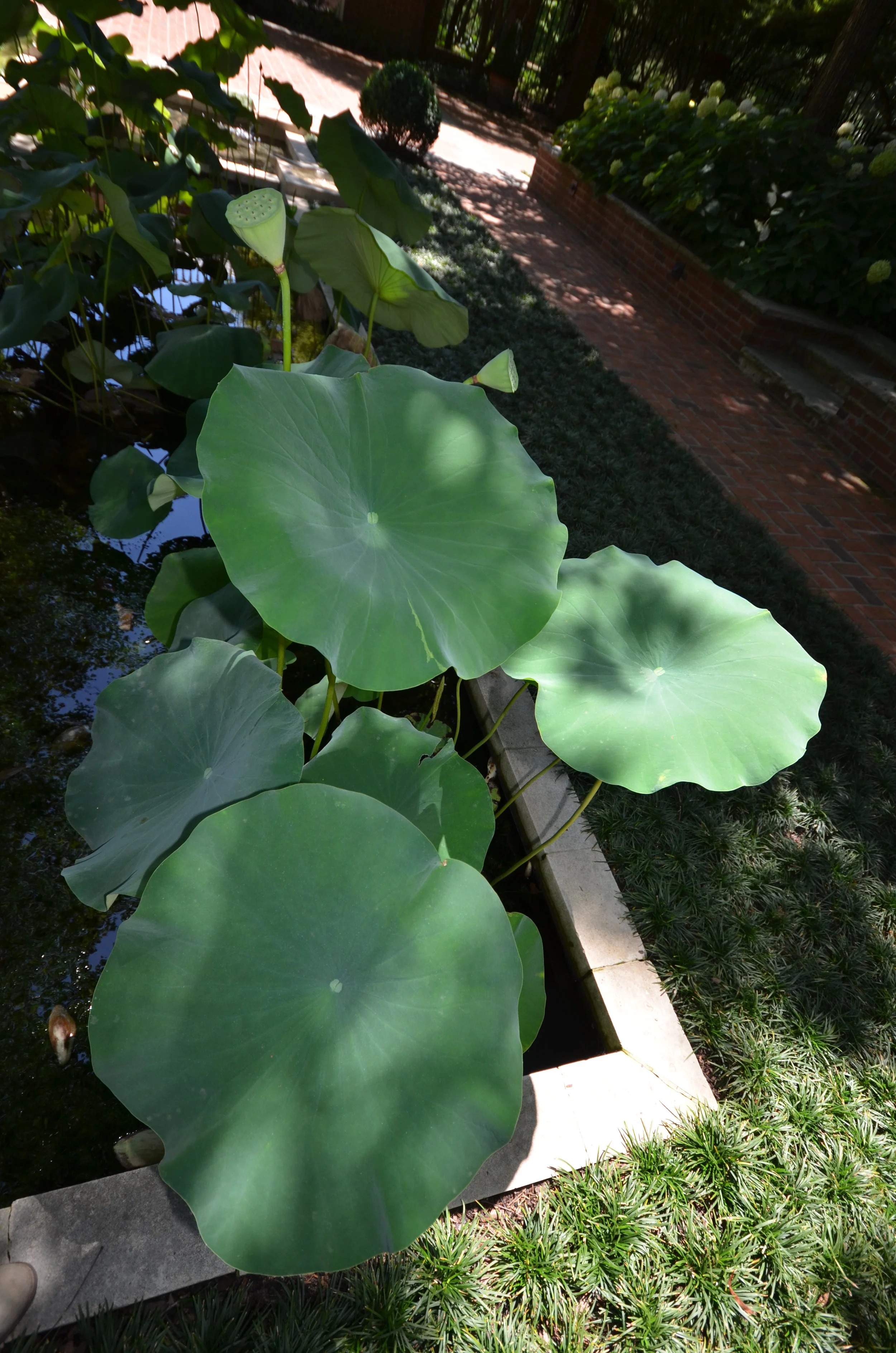 NEW WEBSITE PHOTOS!! 215.JPG