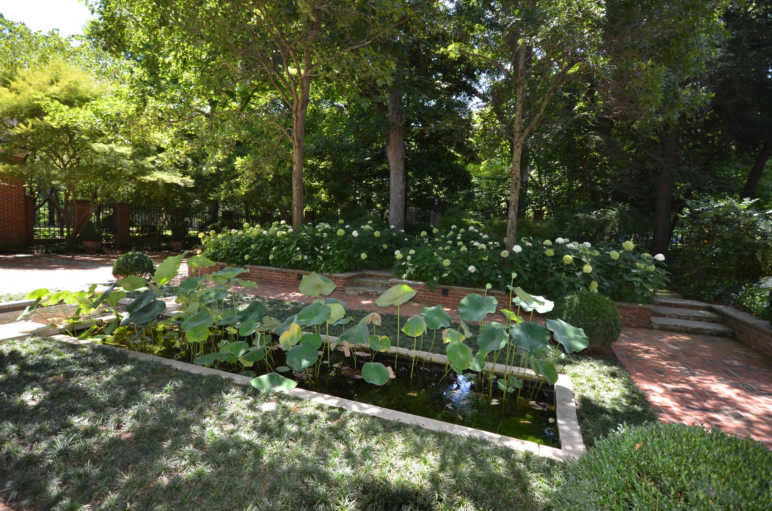 NEW WEBSITE PHOTOS!! 212.JPG