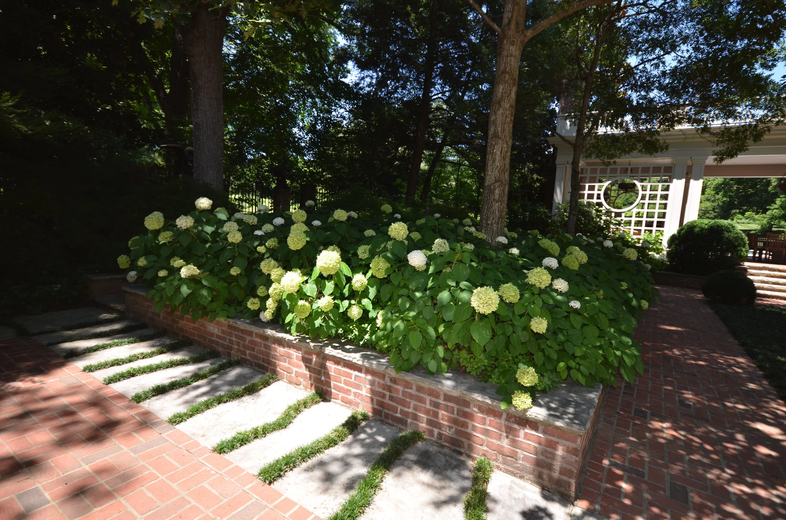 NEW WEBSITE PHOTOS!! 223.JPG