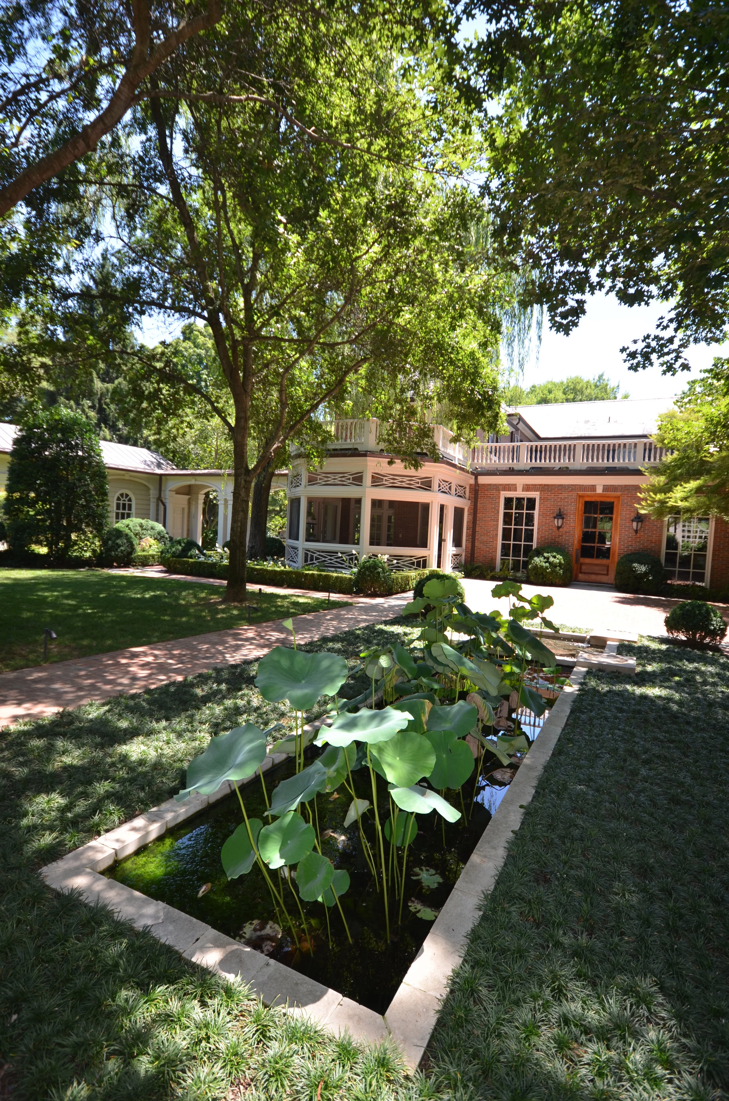 NEW WEBSITE PHOTOS!! 230.JPG