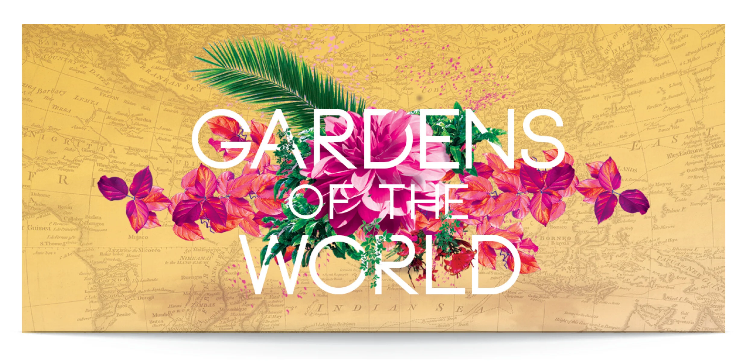 Portfolio 2020 NWFGS 2019 3.jpg