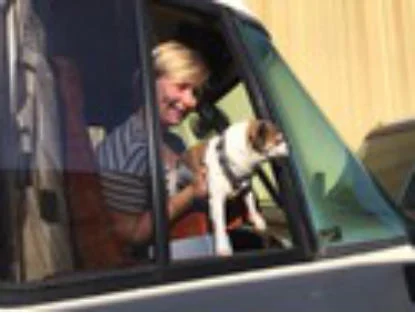Toll Window 53775.jpg