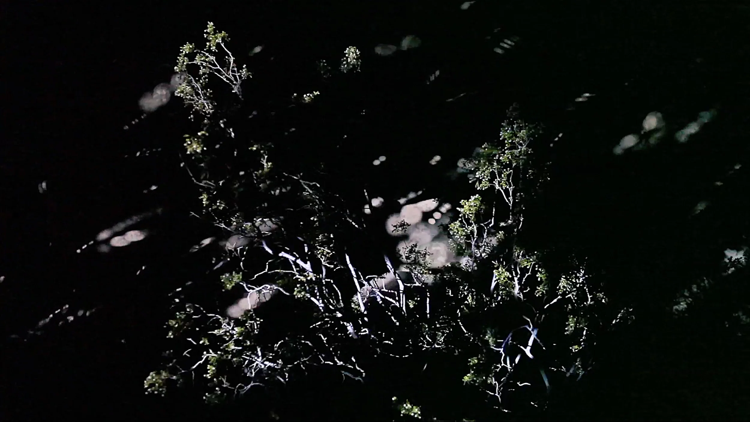  video projection onto the landscape 
