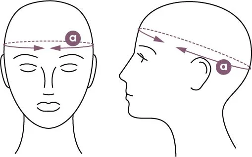headmeasurement.jpg