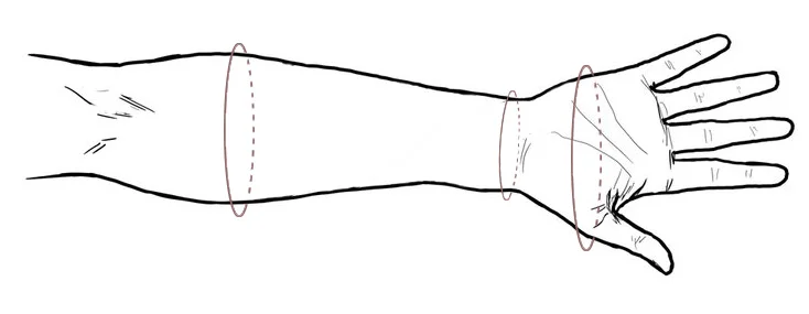 forearm.jpg