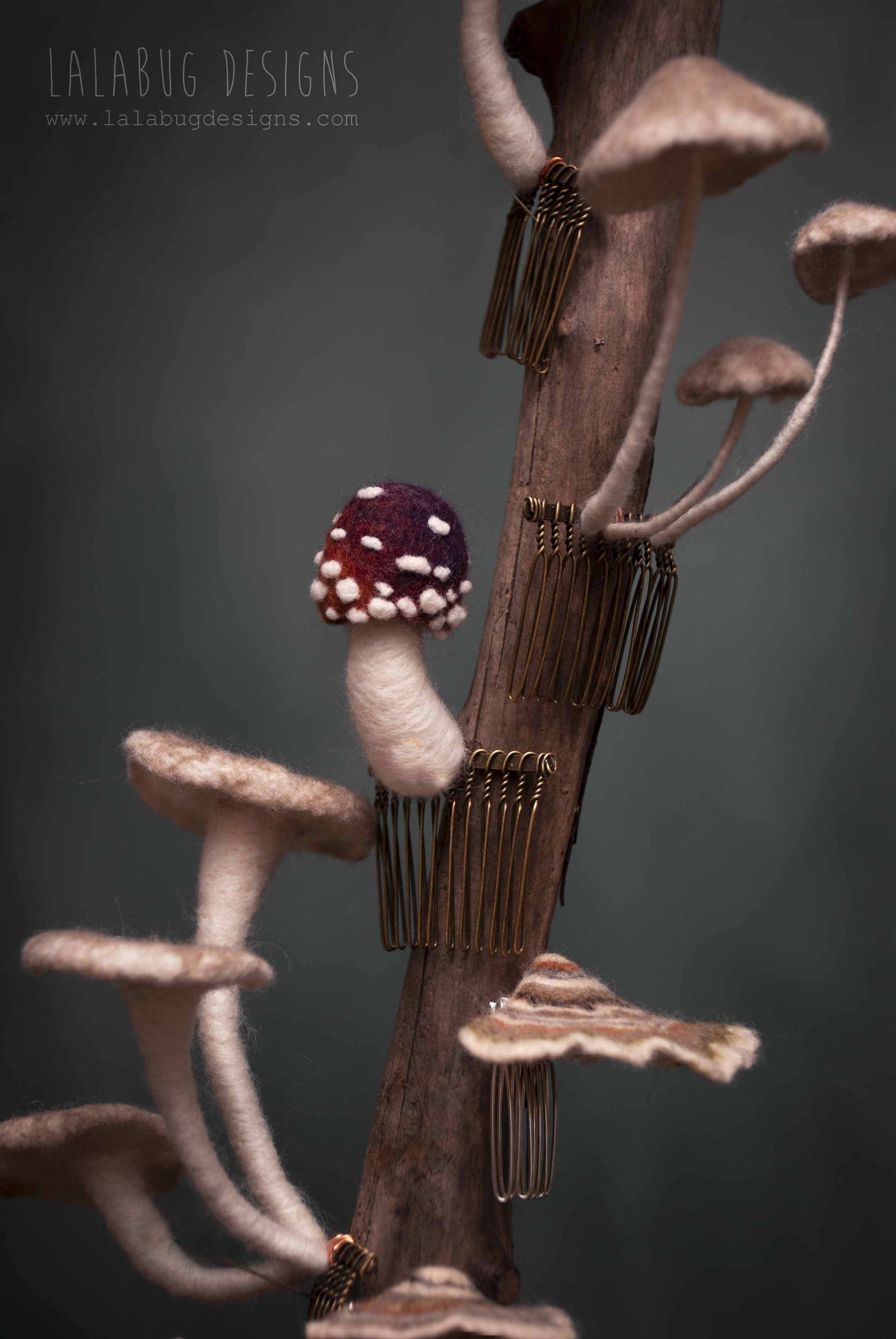 clips-mushrooms.jpg