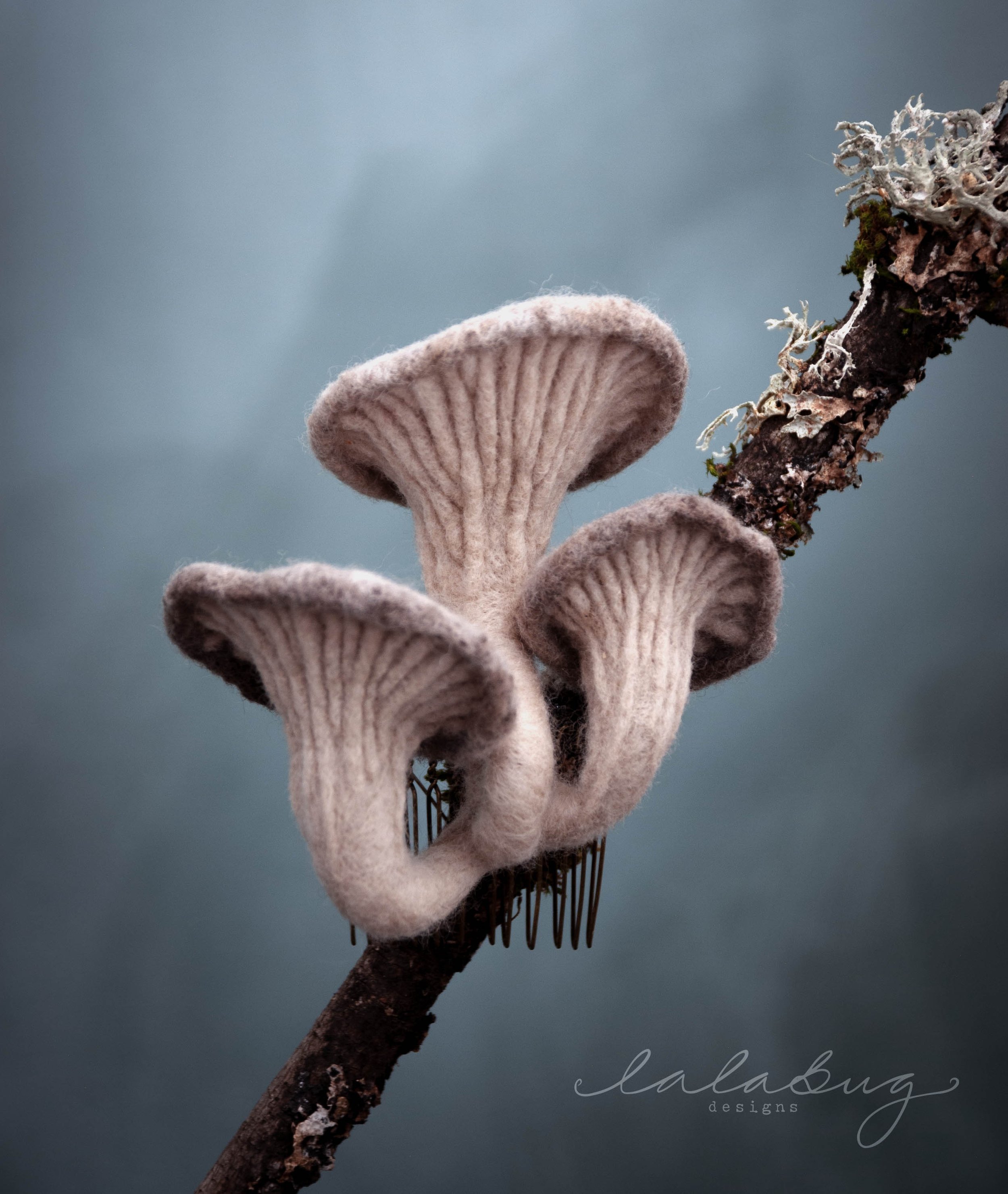 oyster.jpg