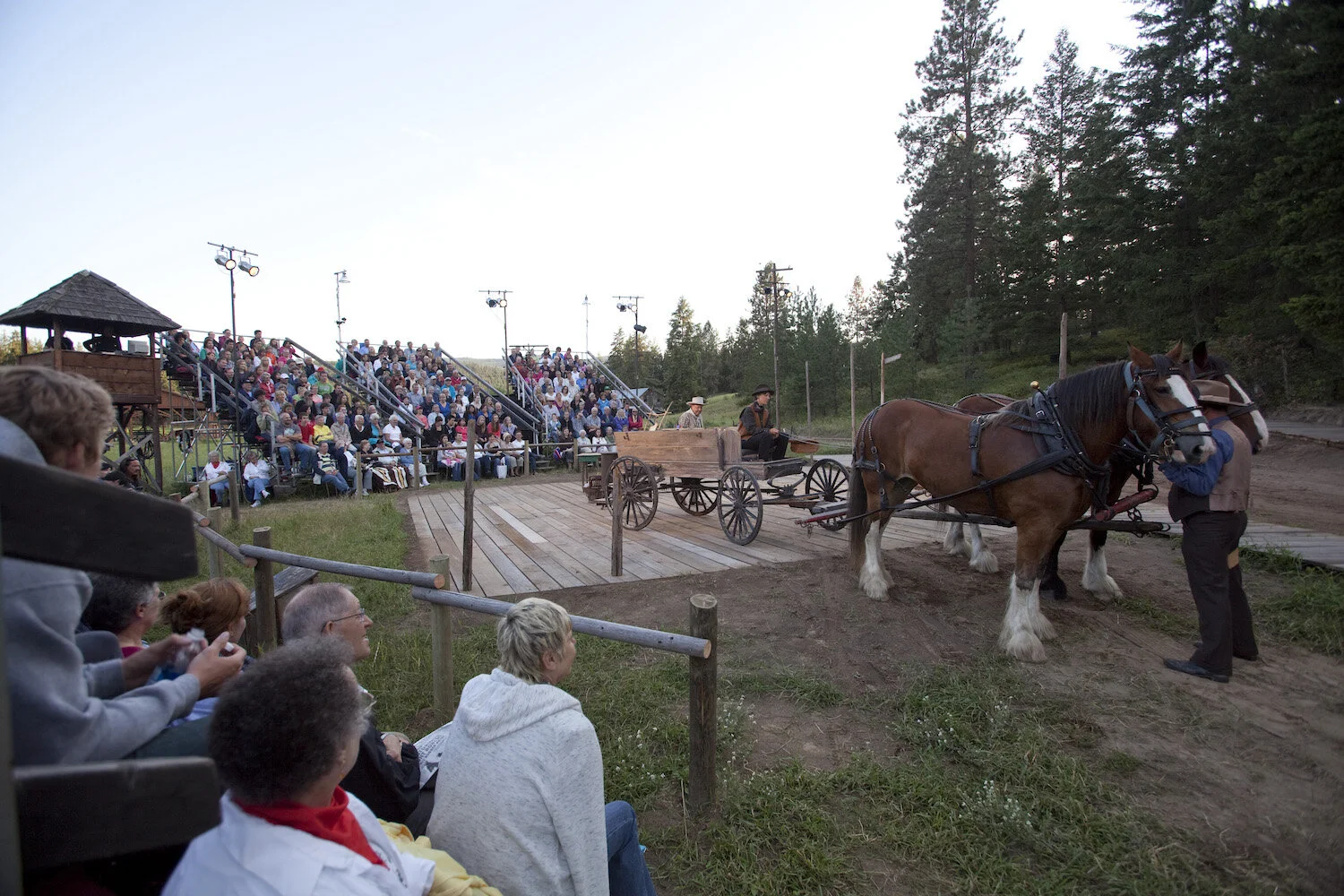 photo by Tim Matheson_Robber_2730.jpg