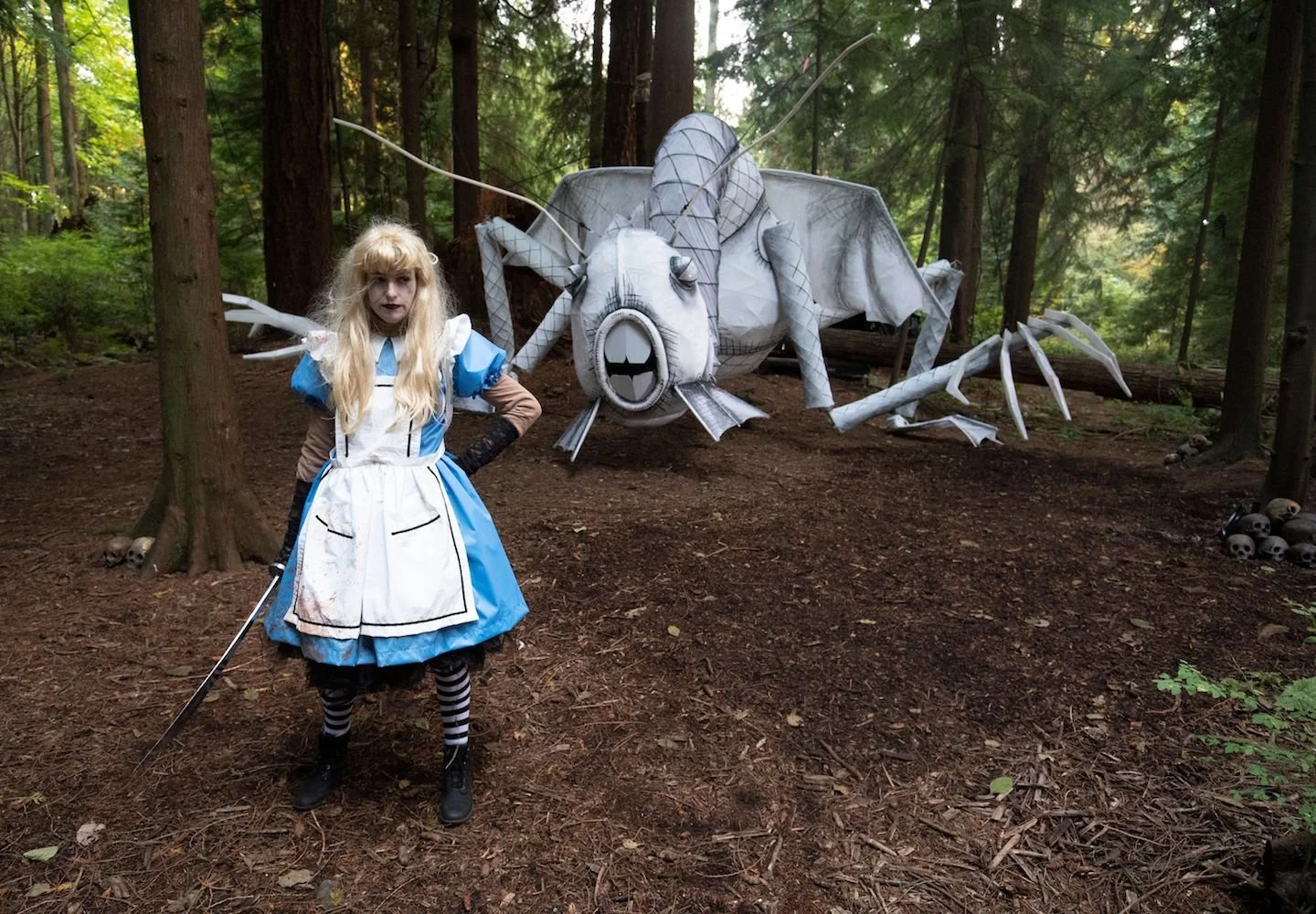 Jabberwocky Alice In Wonderland Costume