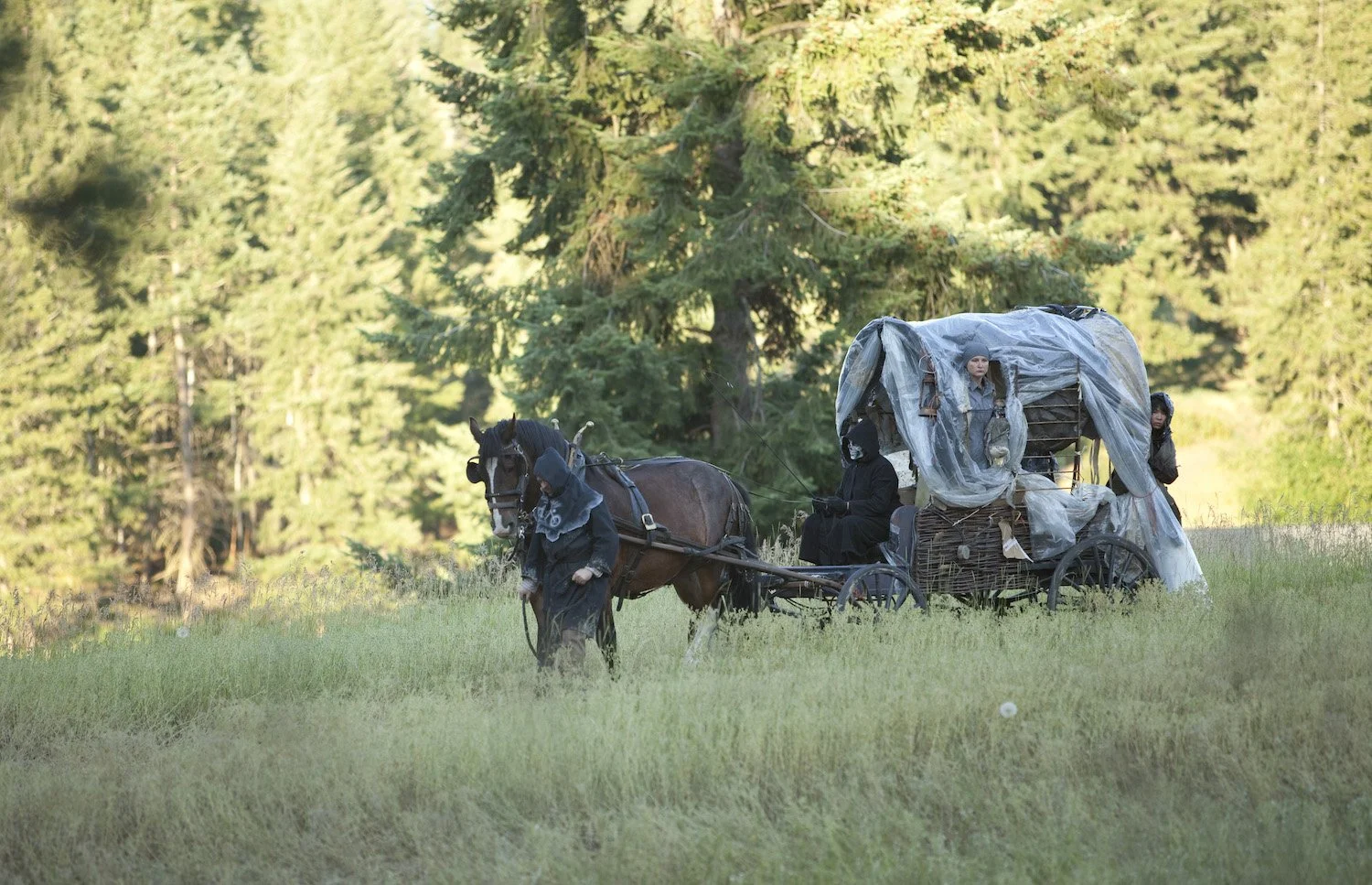 Everyone12-Tim Matheson.jpg