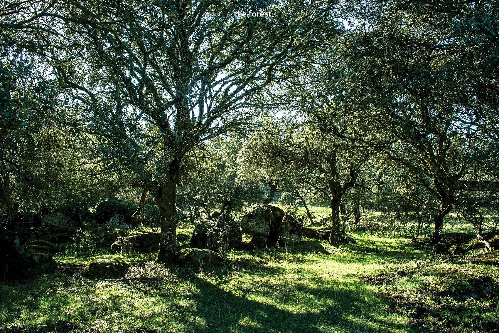 prado_regajo_013.jpg