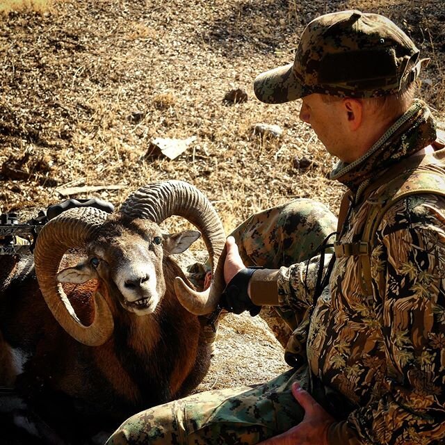 #tbt @peregrine_bowhunter harvested this great male on a very intense stalk, he also was able to film all the action. Great memories!!! &bull;
🍀🐏🏹📯
&bull;

#stalkanddraw #bowhunting #solobowhunting #diybowhunting #chassealarc #bogenjagd #cazacona