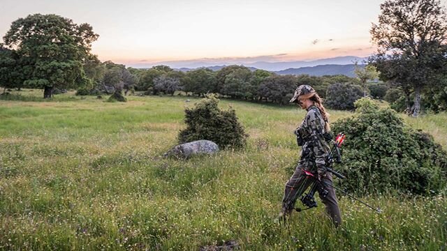 #tbs @vicalbizuri furrowing the fields in search of mouflon some springs ago, pic by @pedroampueroca &bull;
🍀🐏🏹🌿🌱
&bull;

#stalkanddraw #bowhunting #solobowhunting #diybowhunting #chassealarc #bogenjagd #cazaconarco #reddeer #hirsch #cerf #hjort