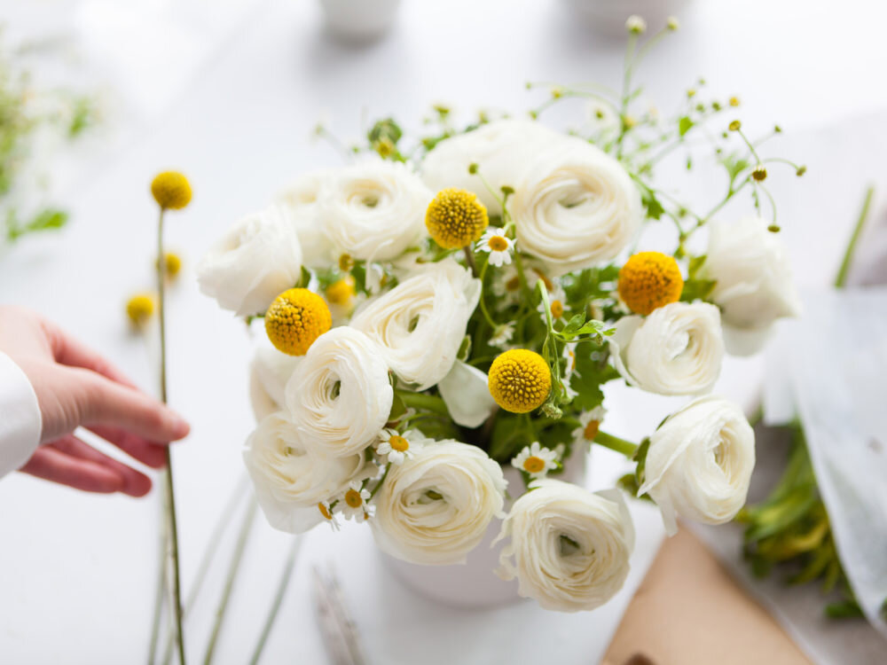 1:1 Tutorial via Zoom