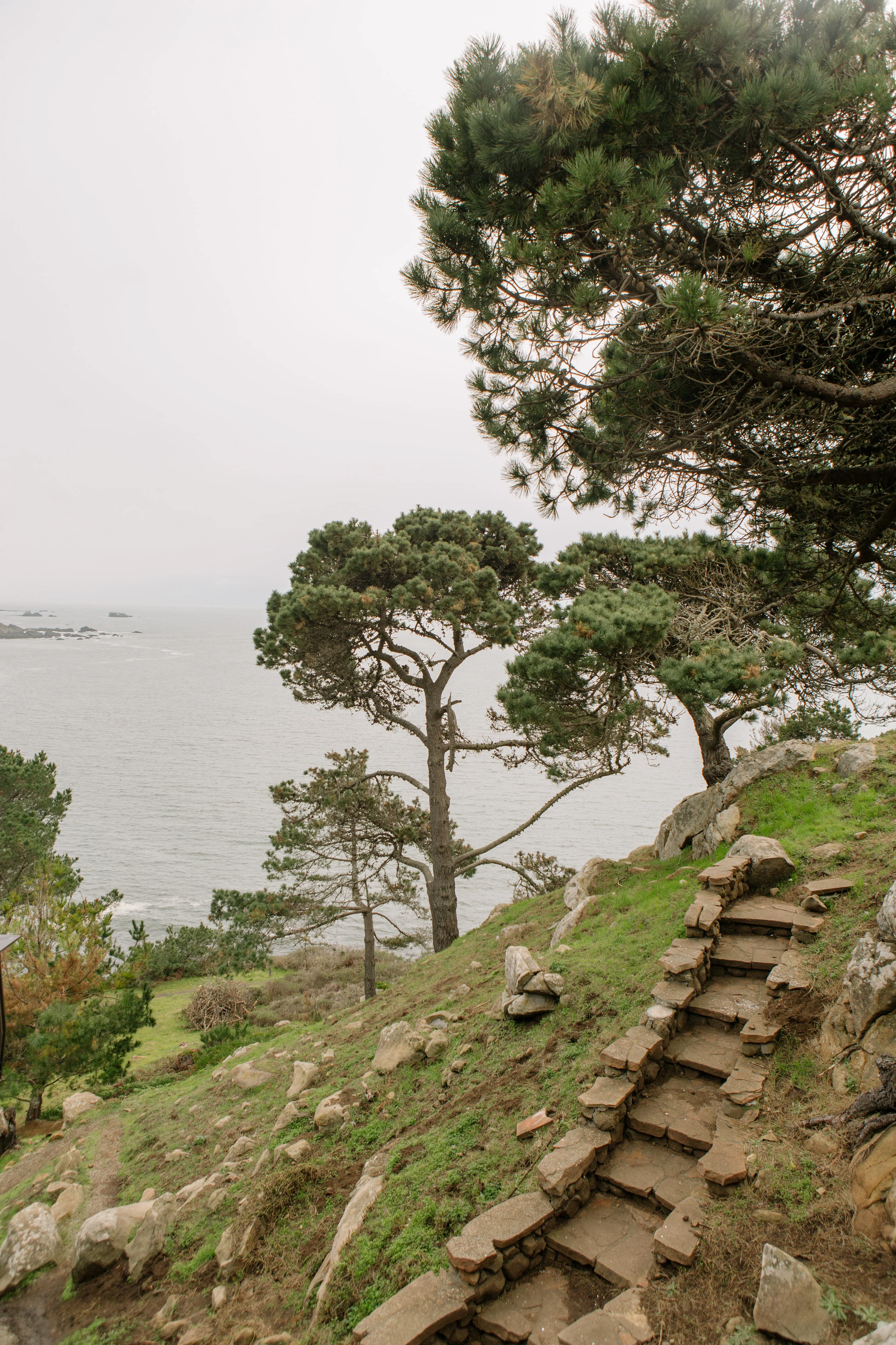Timber-Cove-105.jpg