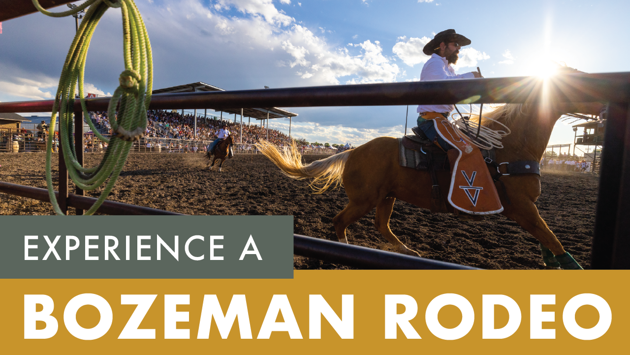 Experience a Bozeman rodeo! 🐎