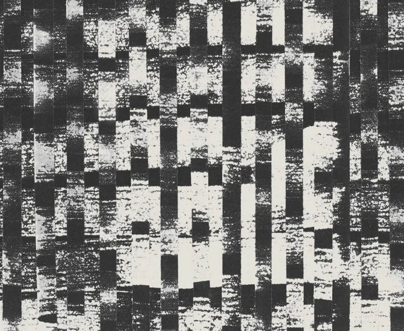 obakki-ss12-basketweave.webp