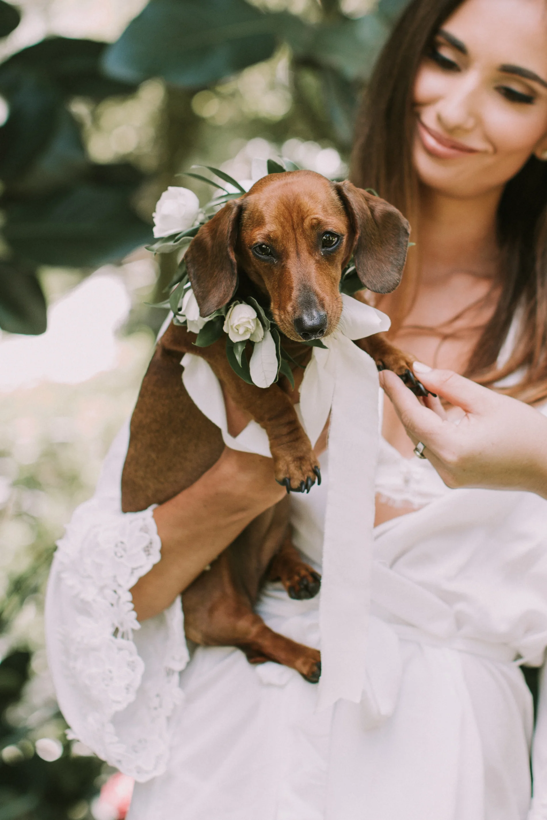 Wedding Puppy